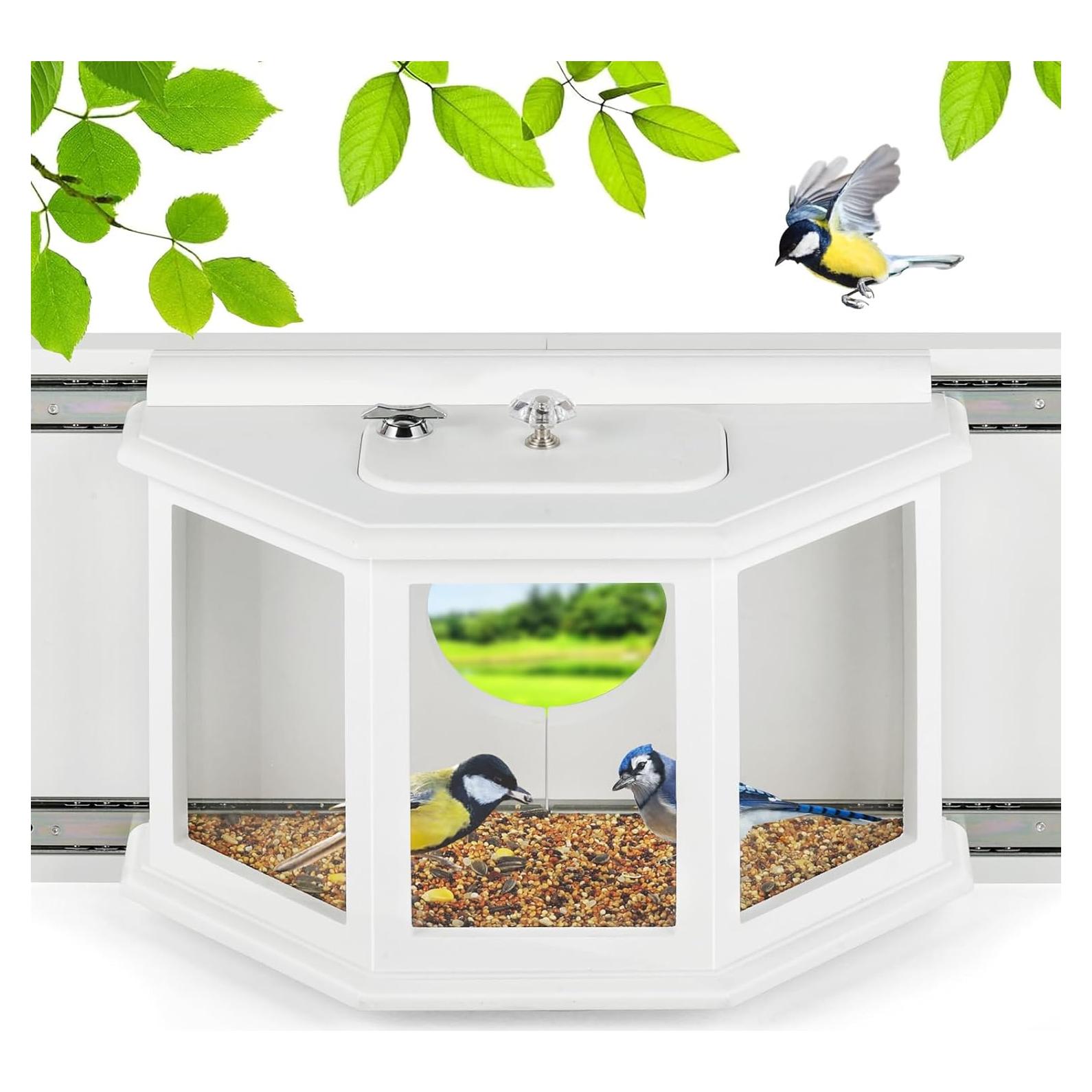 Comedero para Aves de Ventana XYADX 180° Madera Acrílico