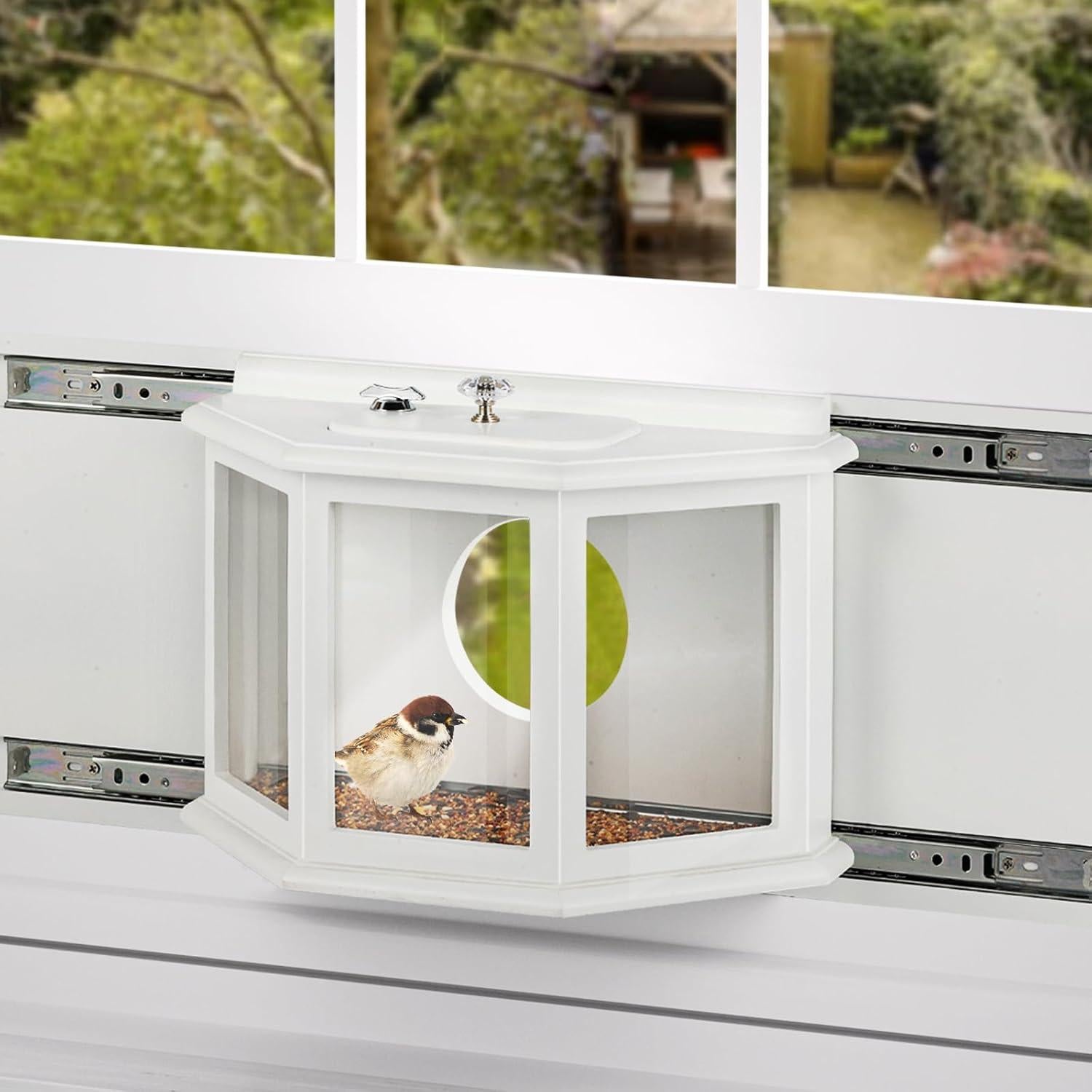 Comedero para Aves de Ventana XYADX 180° Madera Acrílico