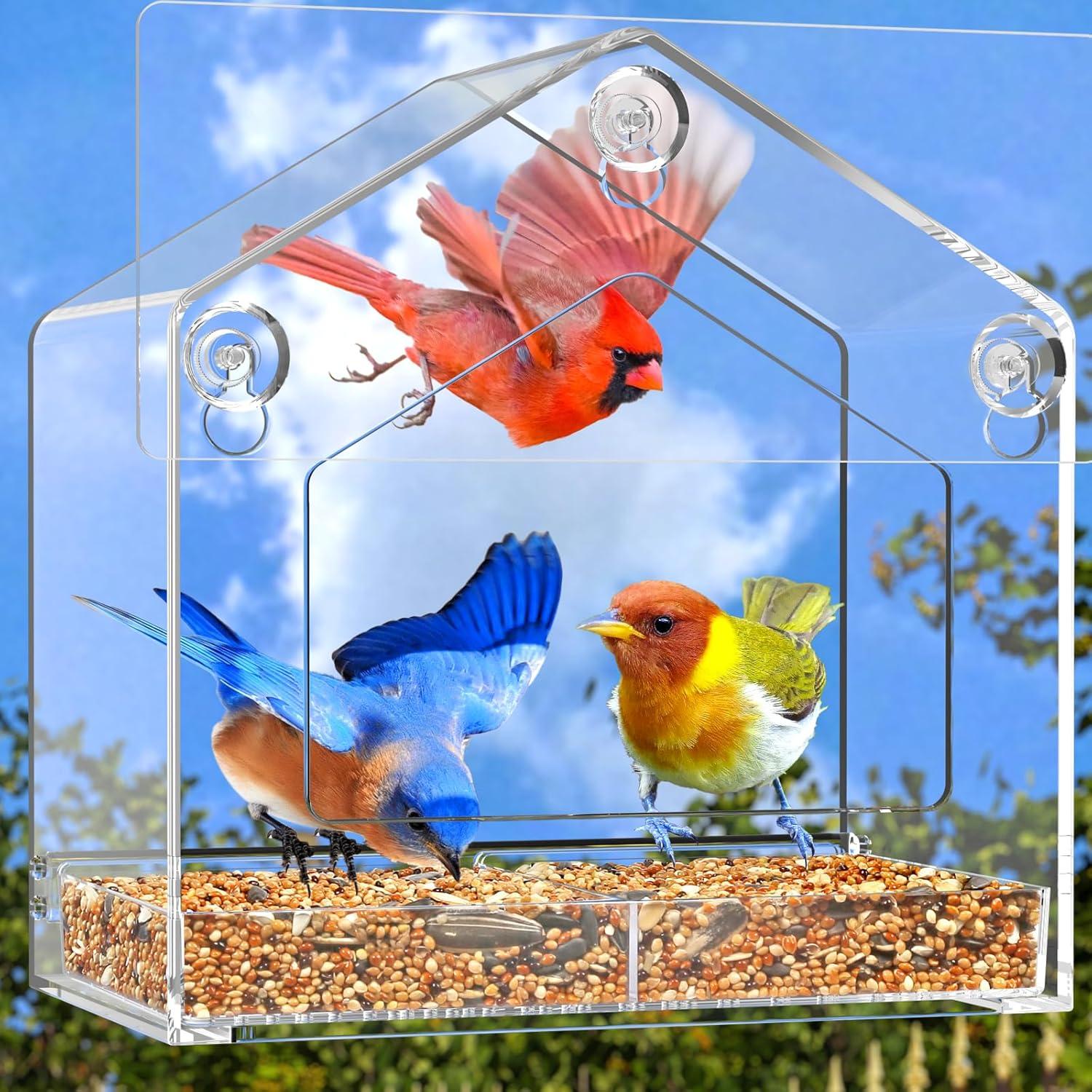 Comedero de Aves para Ventana Flinter 0.45 kg Transparente