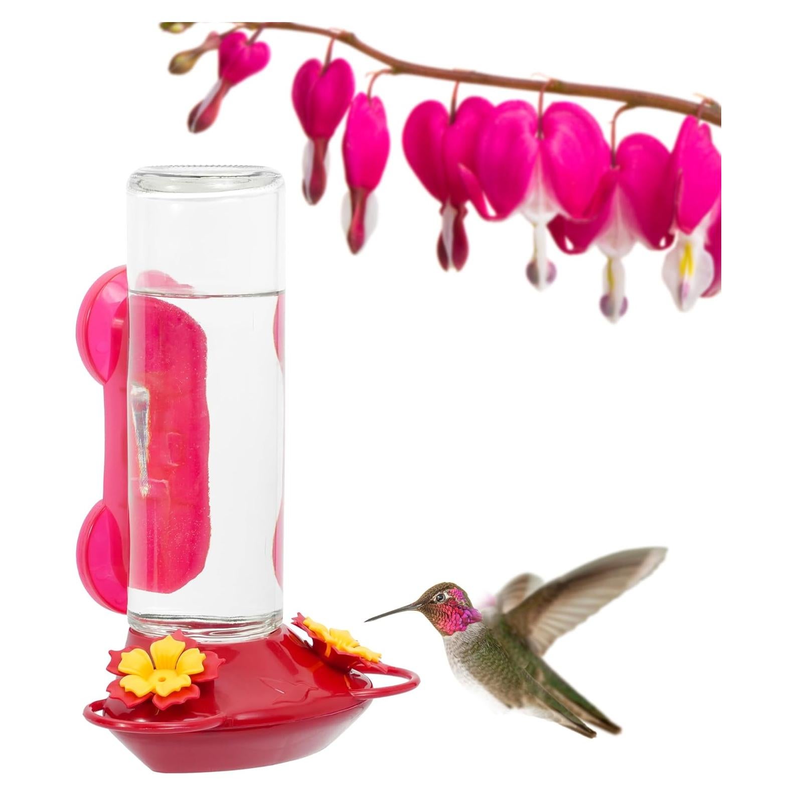 Alimentador de Colibríes de Vidrio Perky-Pet 455-2 414 ml Rojo
