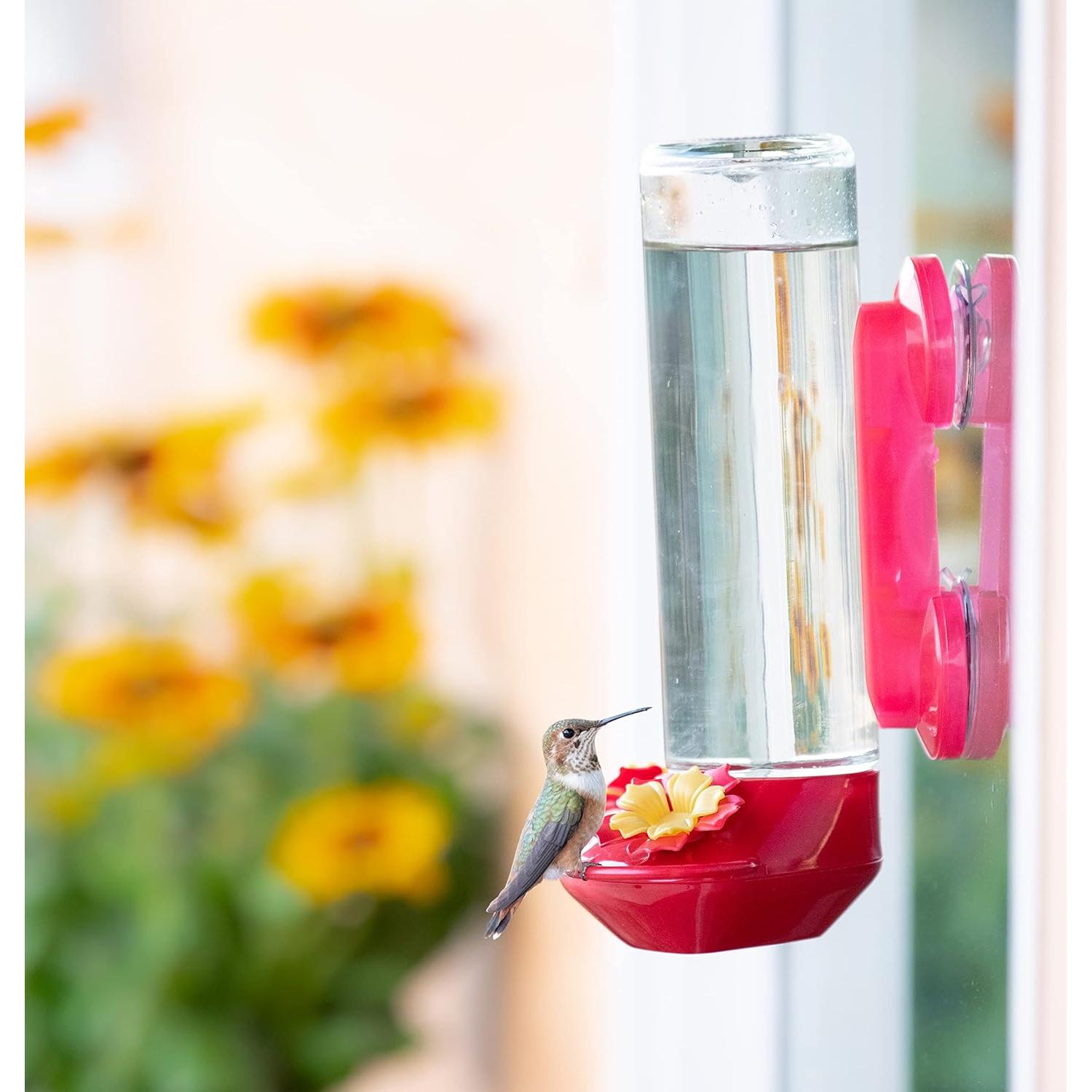 Alimentador de Colibríes de Vidrio Perky-Pet 455-2 414 ml Rojo