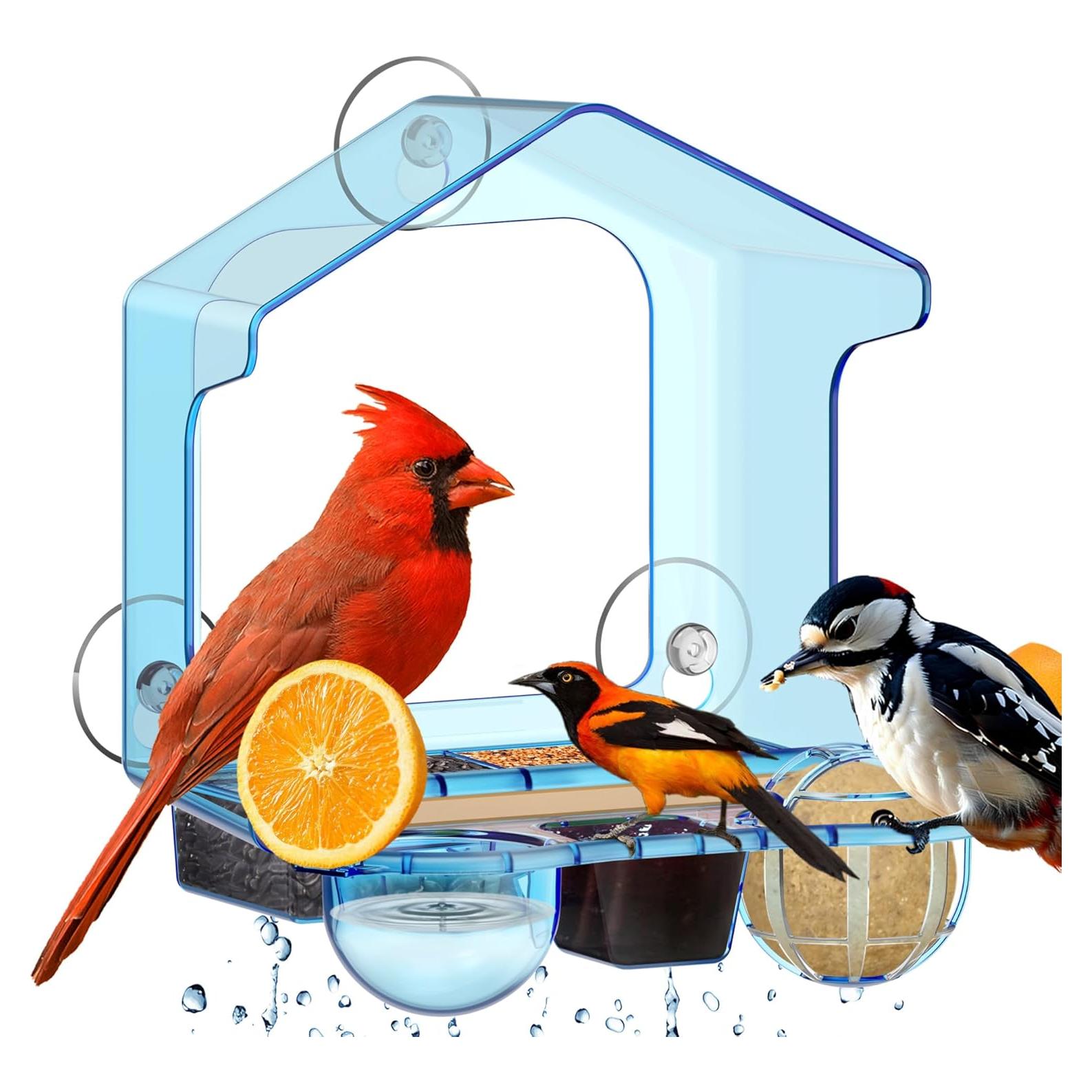 Comedero para Aves de Ventana LUJII 6-en-1 Azul, Multifuncional