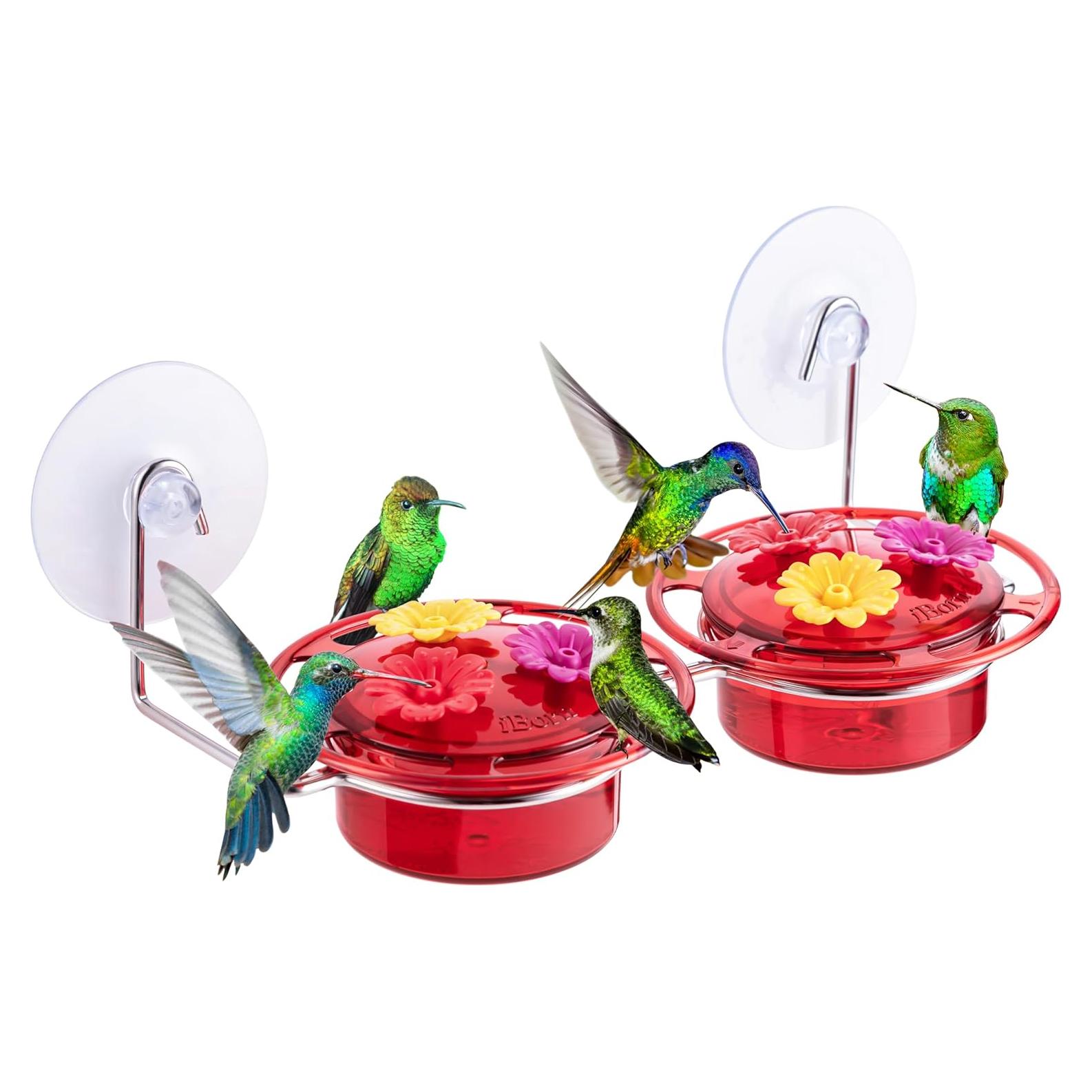 Alimentador de Colibríes iBorn Ventana 85g Rojo con Ventosas