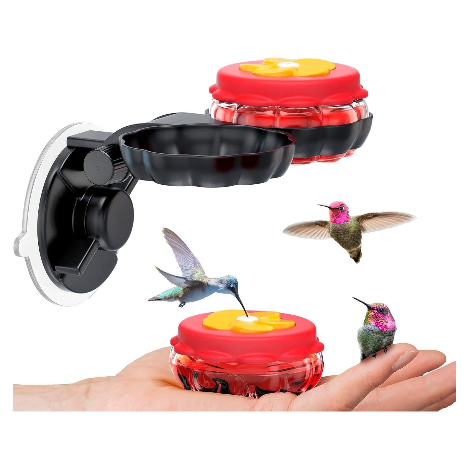 Alimentadores de Colibríes de Vidrio Sewanta - Juego de 2