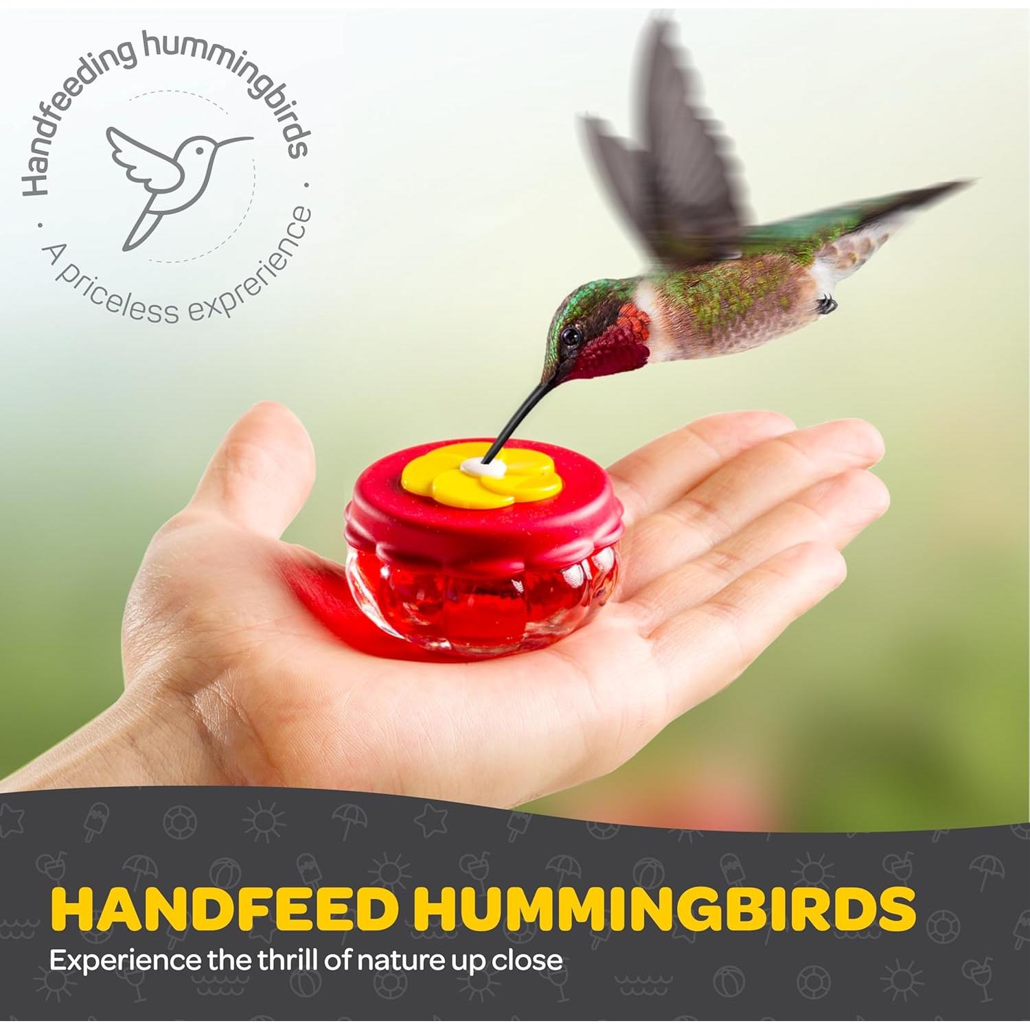 Alimentadores de Colibríes de Vidrio Sewanta - Juego de 2