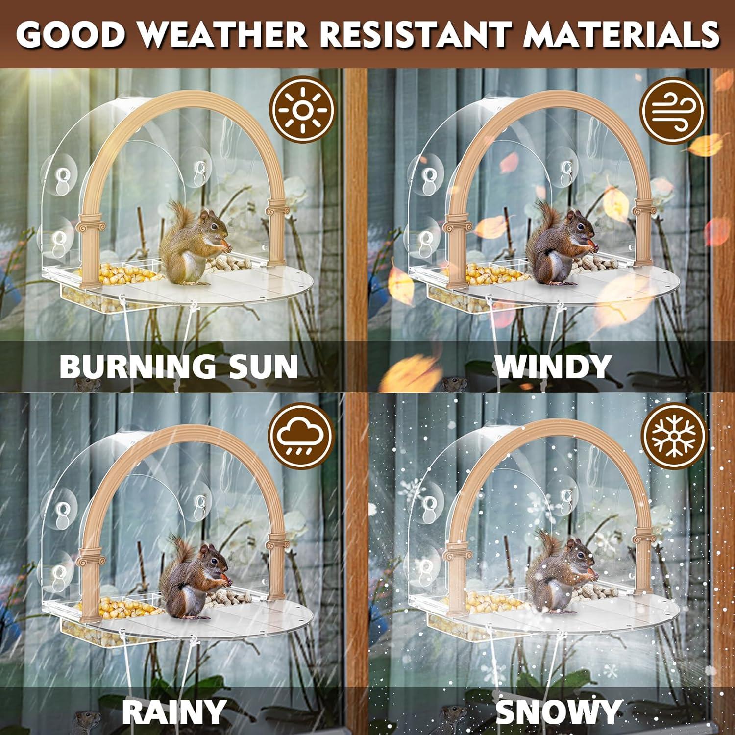 Comedero para Ardillas de Ventana GelinRedcap - Grande y Transparente