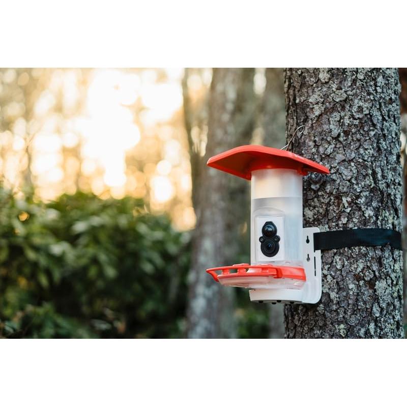 Alimentador de Colibríes Inteligente FeatherSnap con Cámara HD