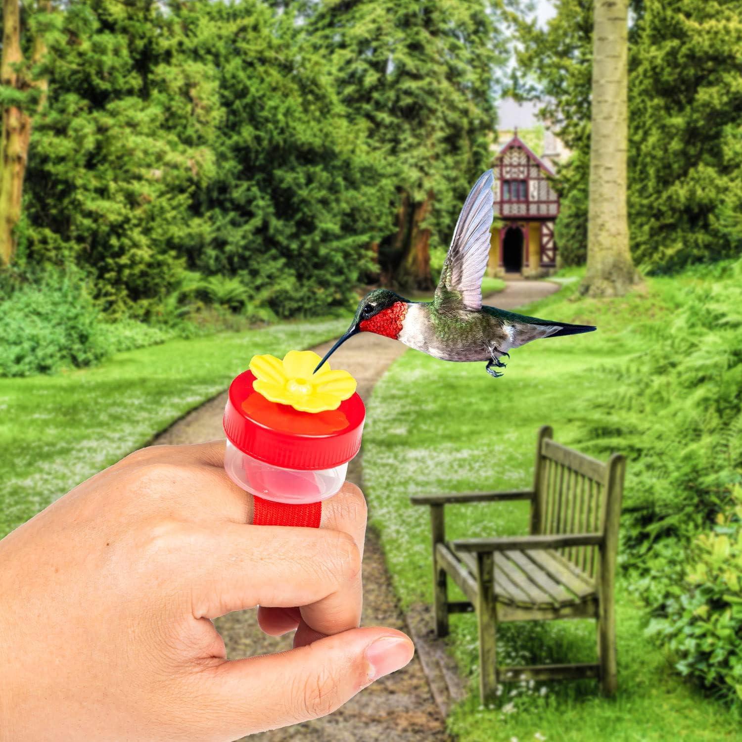 Alimentador de colibrí de mano ZHBDMGK 4Pcs con cepillos