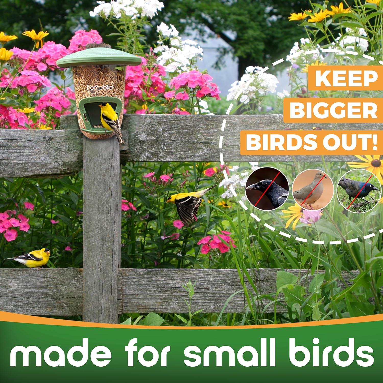 Comedero para Aves Pequeñas Homebird Montable 19x17.5 cm