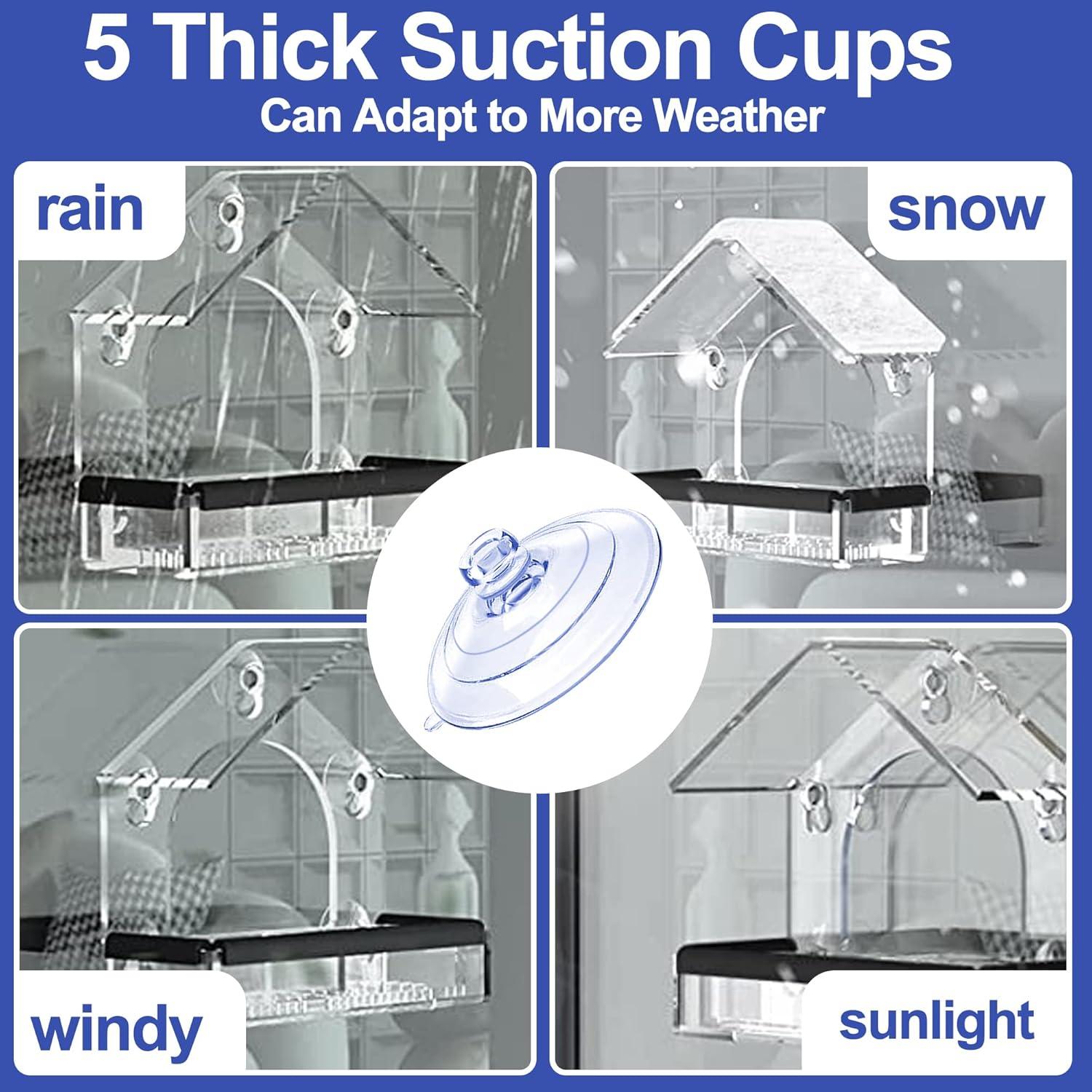 Ventosas de Reemplazo para Alimentador de Aves CrayBG - 5 Pcs