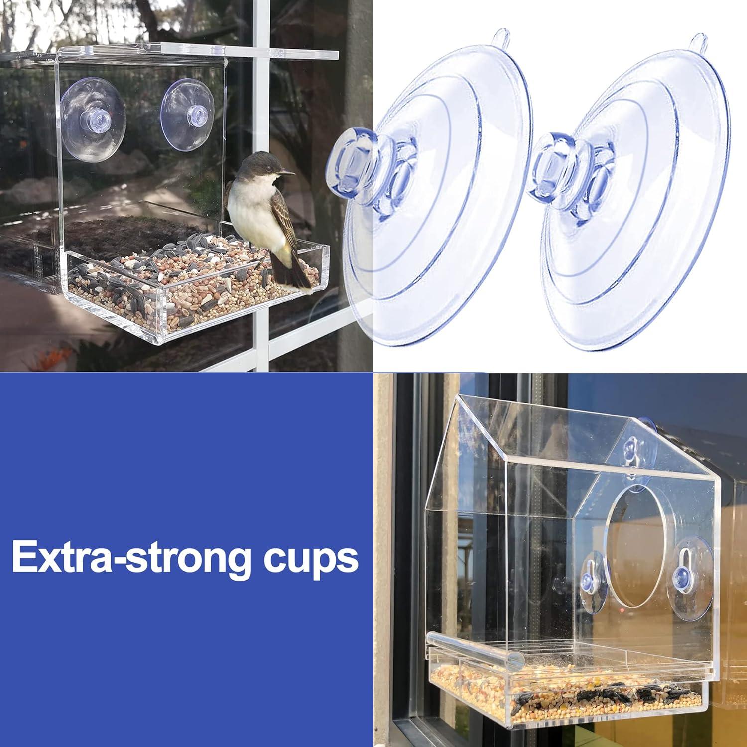 Ventosas de Reemplazo para Alimentador de Aves CrayBG - 5 Pcs