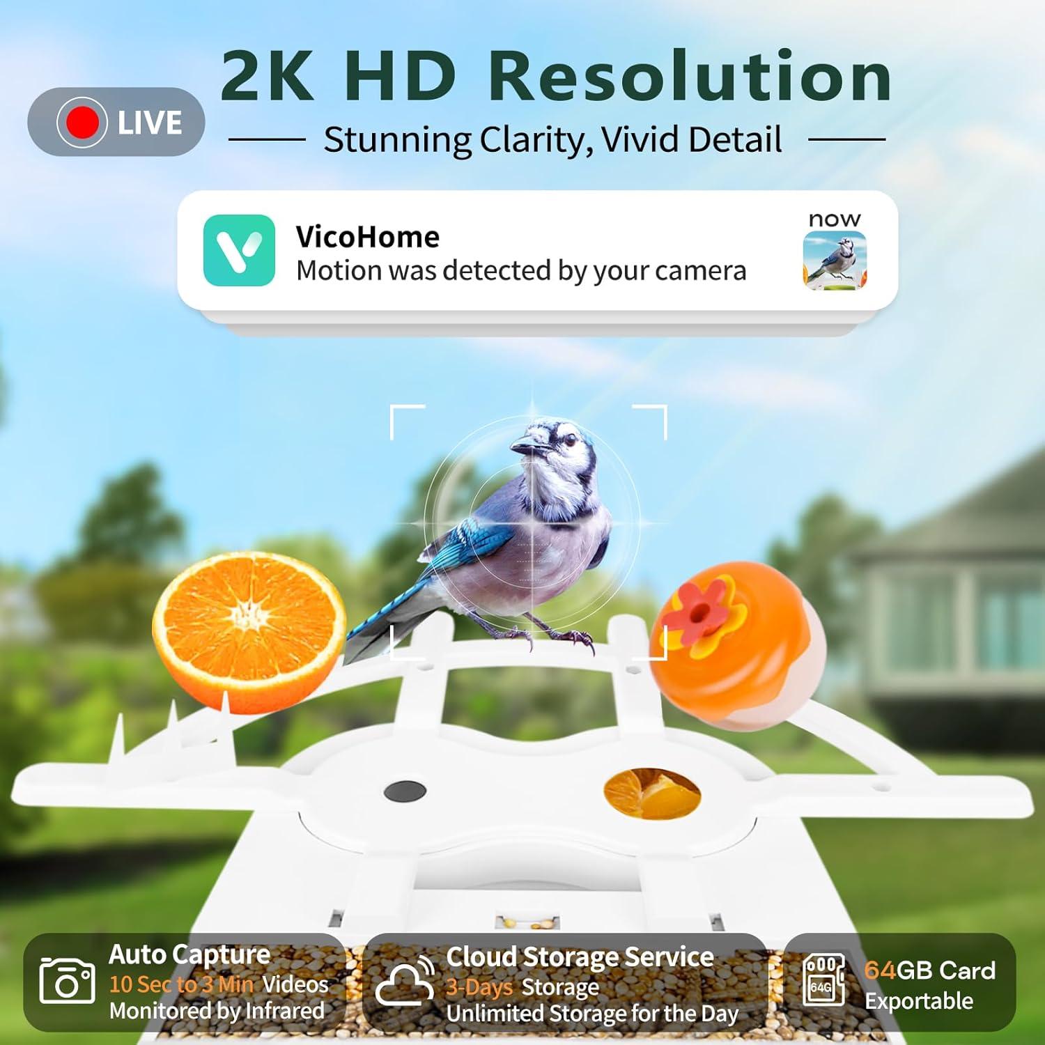 Comedero Inteligente Aquatrend con Cámara Solar 2K para Aves