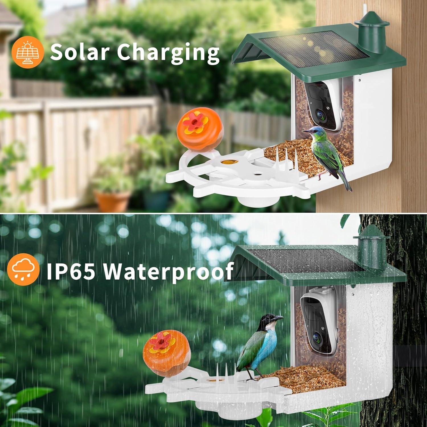 Comedero Inteligente Aquatrend con Cámara Solar 2K para Aves