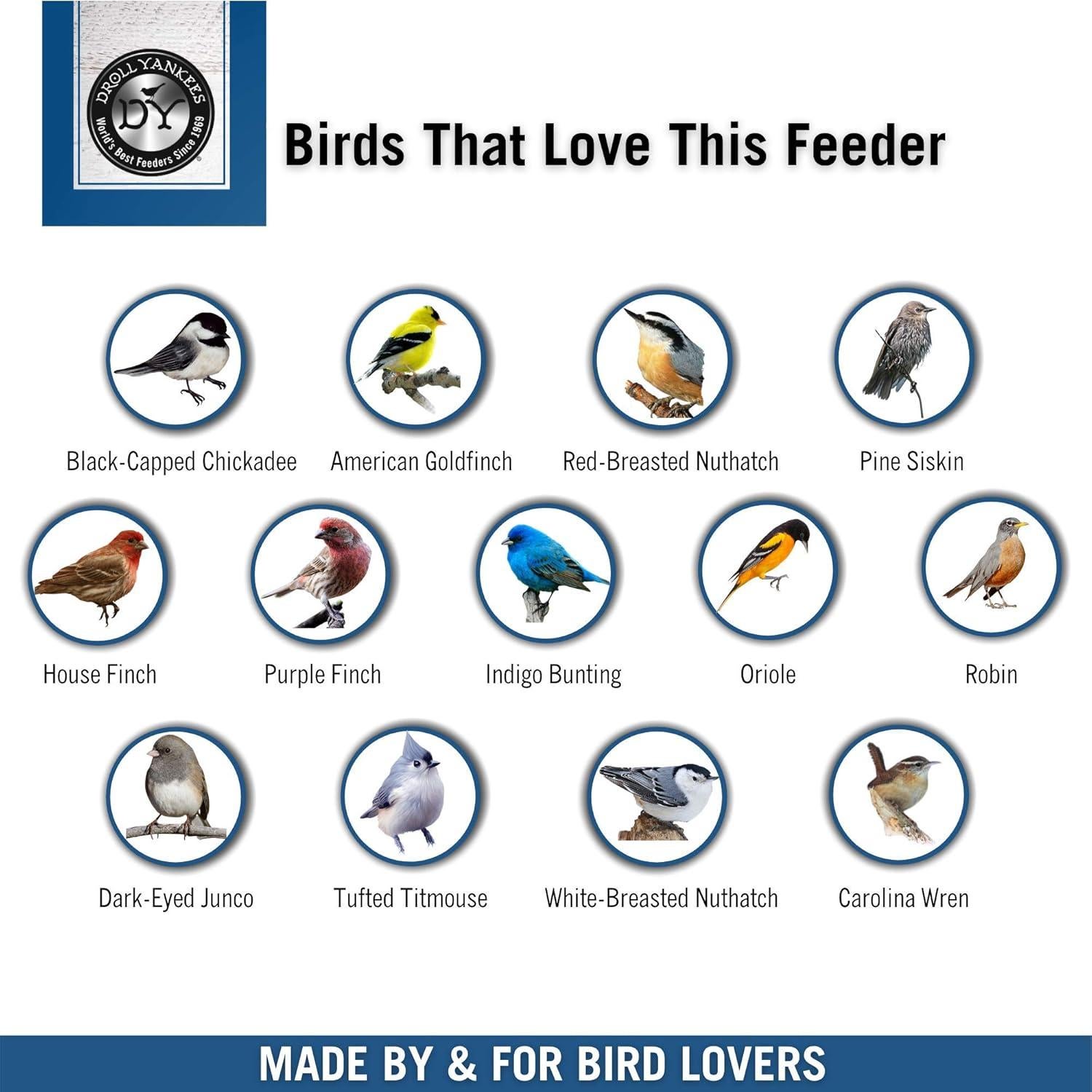 Comedero para Aves Droll Yankees Observer Ventana 2 Tazas