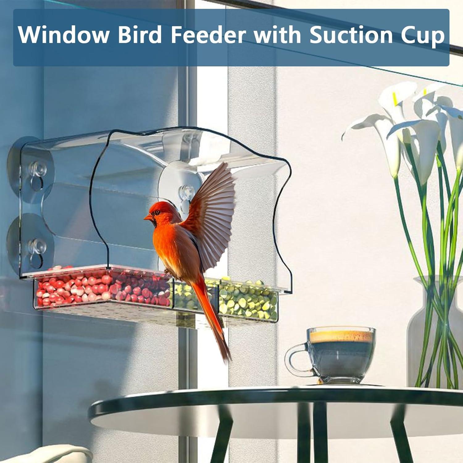 Alimentador de Aves para Ventana SIGOWING Acrílico 25.4x15.24 cm