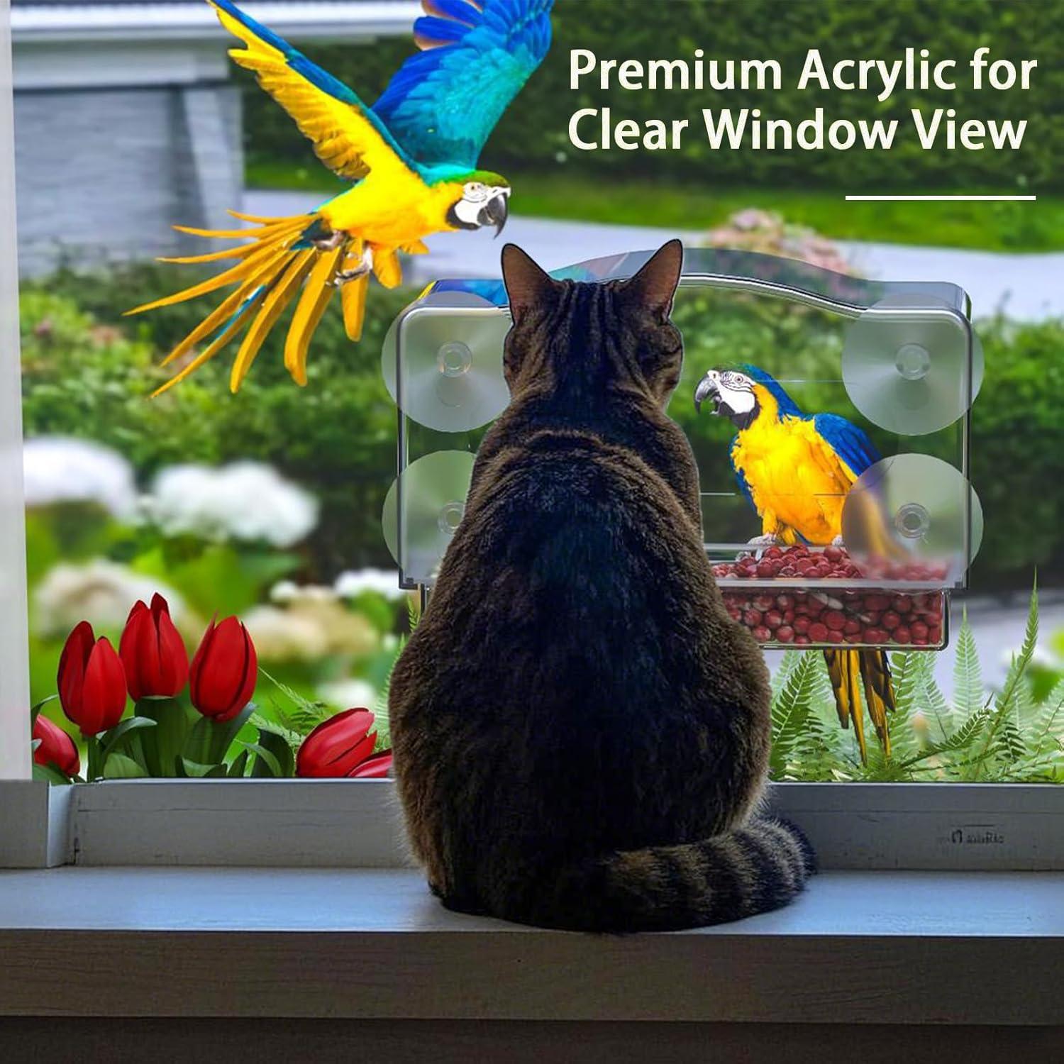 Alimentador de Aves para Ventana SIGOWING Acrílico 25.4x15.24 cm