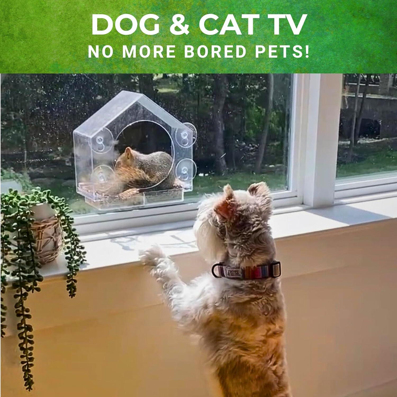 Comedero para Ardillas Nature Anywhere - Ventana 0.64 kg