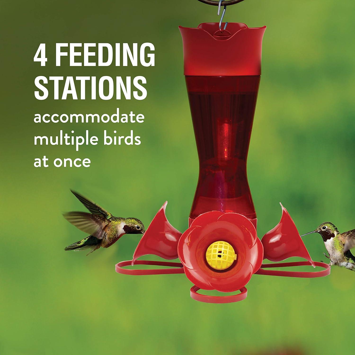 Alimentador de Colibrí Perky-Pet 403CP 236.6 ml Rojo