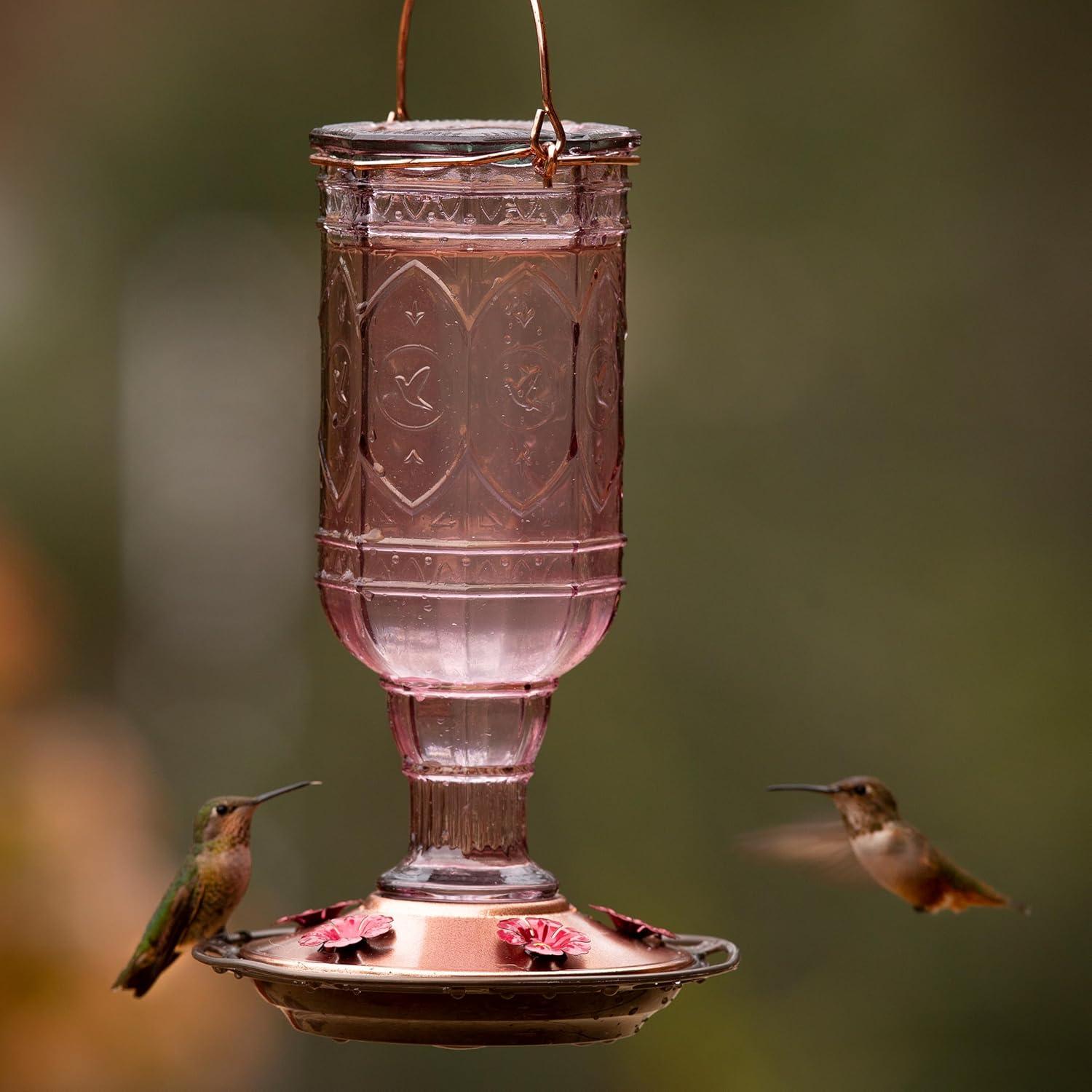 Alimentador de Colibríes More Birds Amatista 20 oz Vidrio