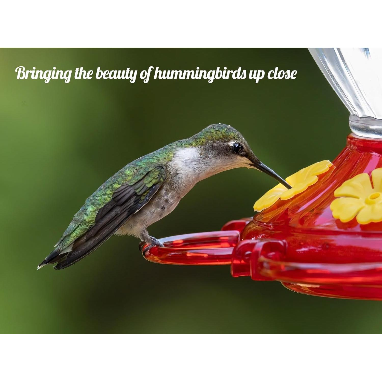 Alimentadores de Colibríes TOPXIAN 2 Paquete 368.5 ml Colgantes