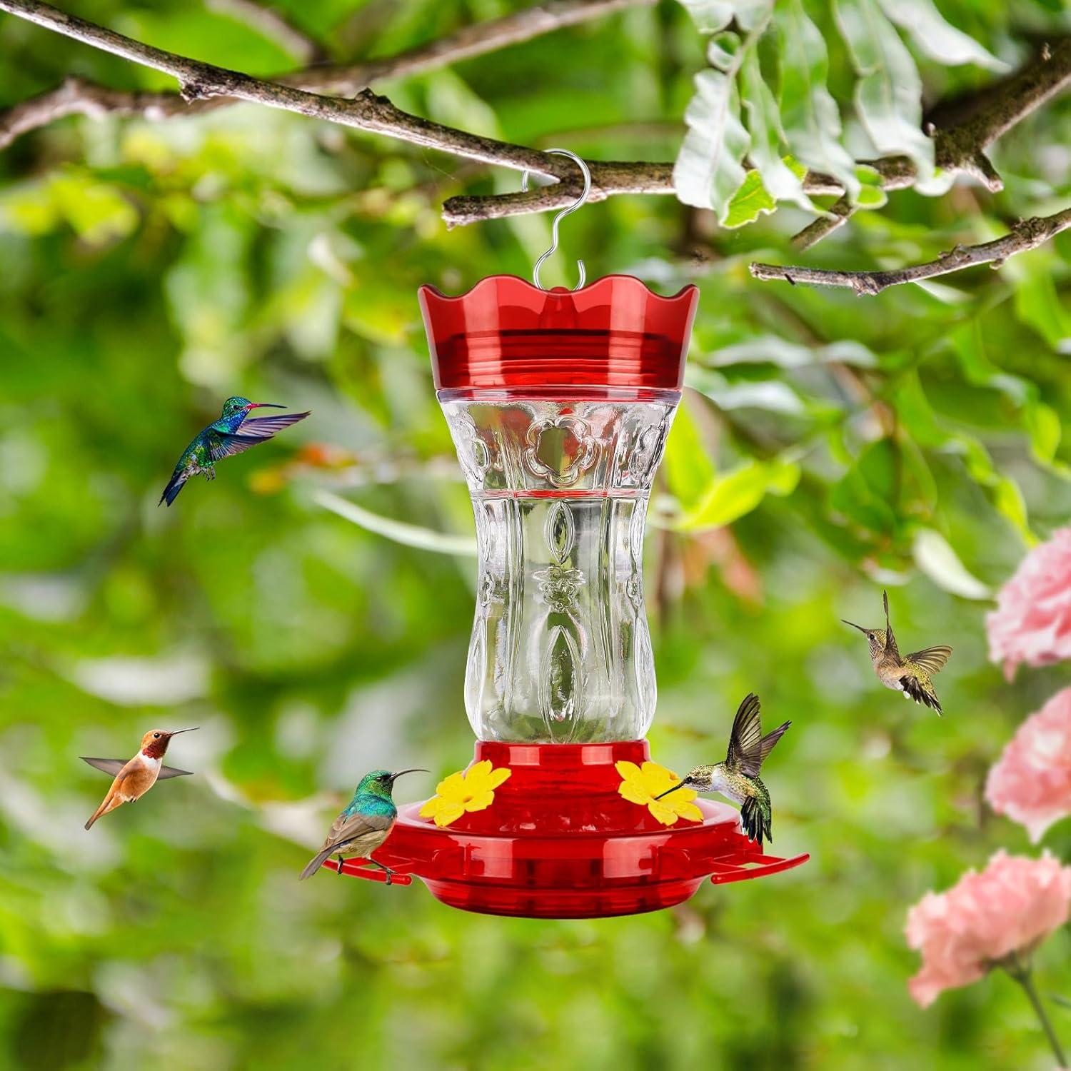 Comedero para colibrí XAROO de vidrio 425g con trampa para hormigas
