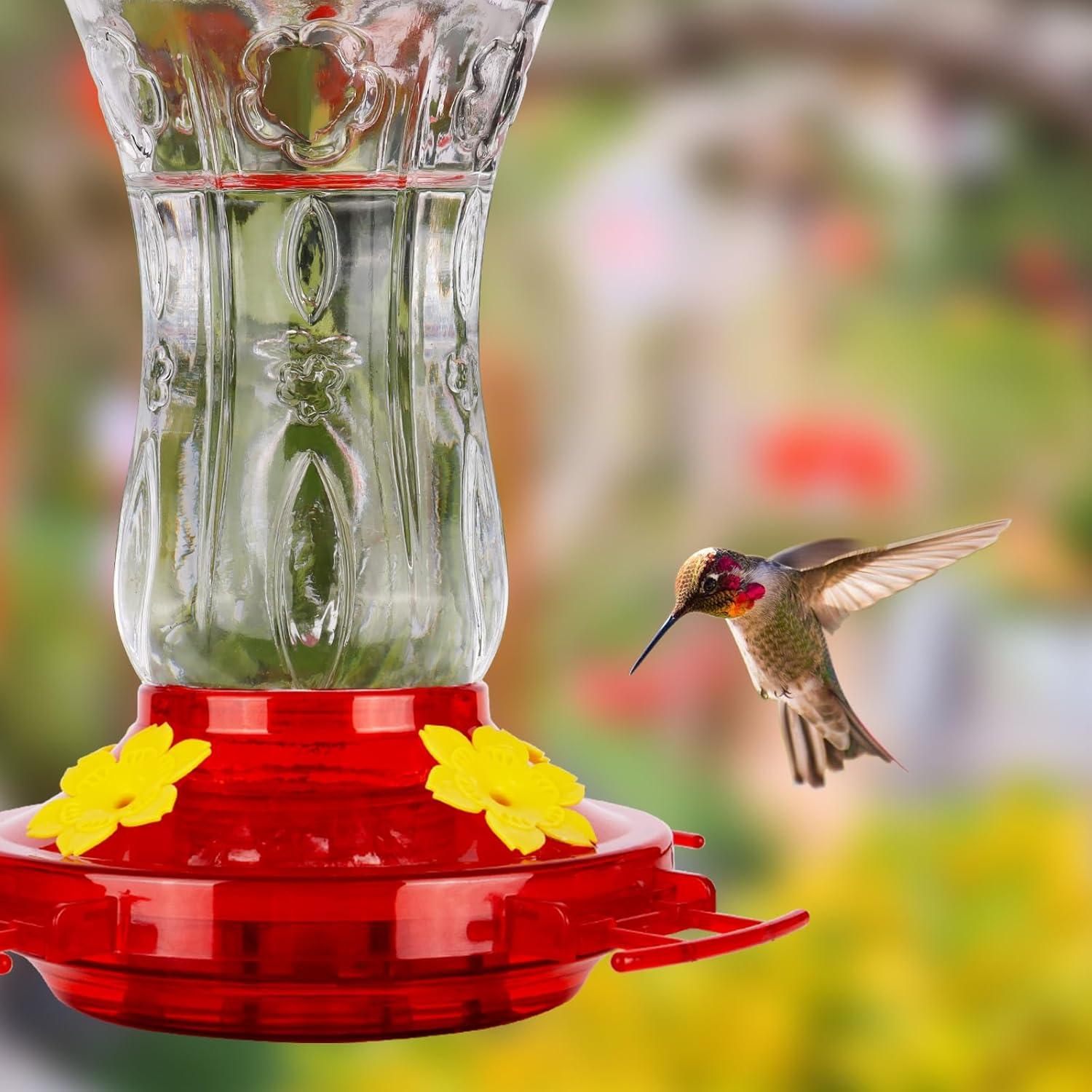 Comedero para colibrí XAROO de vidrio 425g con trampa para hormigas
