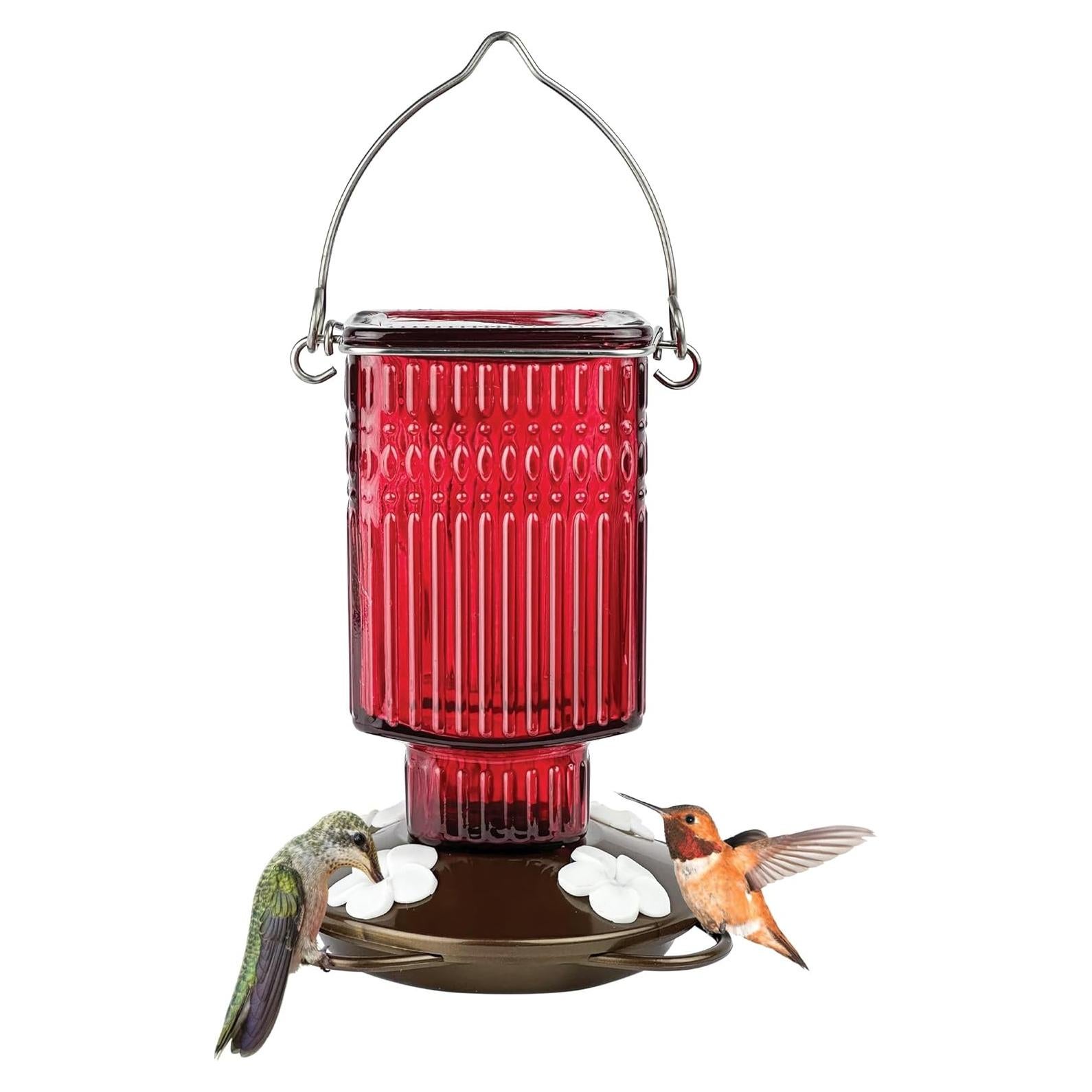 Alimentador de Colibríes Nature's Way de Vidrio 622g Rojo