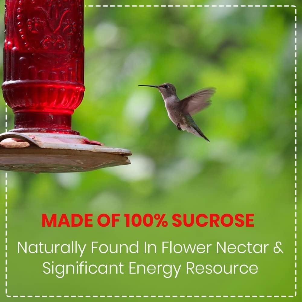 Concentrado de Néctar para Colibríes 2 kg ASA Agrotech