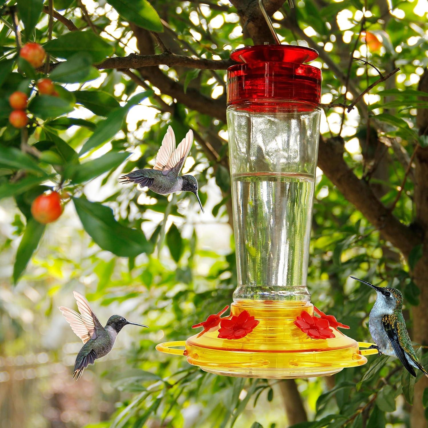 Comedero para Colibríes Shrdaepe de Vidrio 295ml 5 Puertos