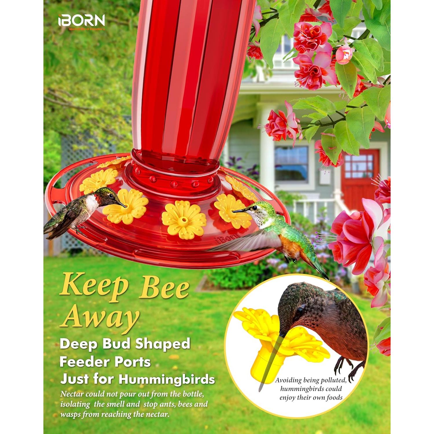 Alimentador de Colibrí iBorn 16oz con Baffle Solar y Estanque Antihormigas