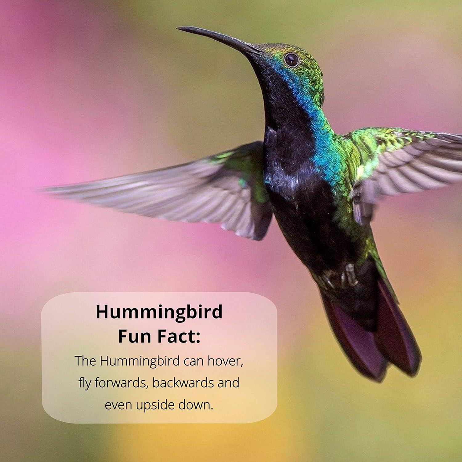 Aditivo Natural para Néctar de Colibríes Sapphire Labs 118ml