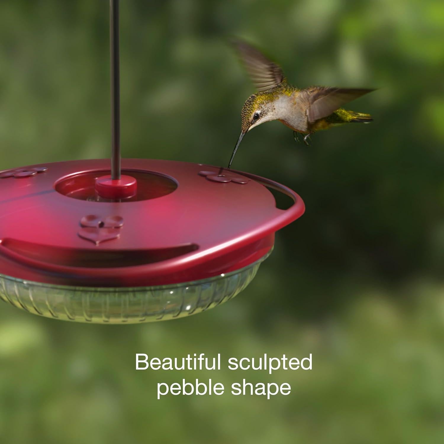Small Hummingbird Feeder – Jacobi Jayne® Sweet Spot™ Hummingbird Feeder – Best Humming Bird Feeder, Small Hanging Ant-Proof Saucer Feeder with Ant Moat, Easy to Clean, Ideal for Outdoors