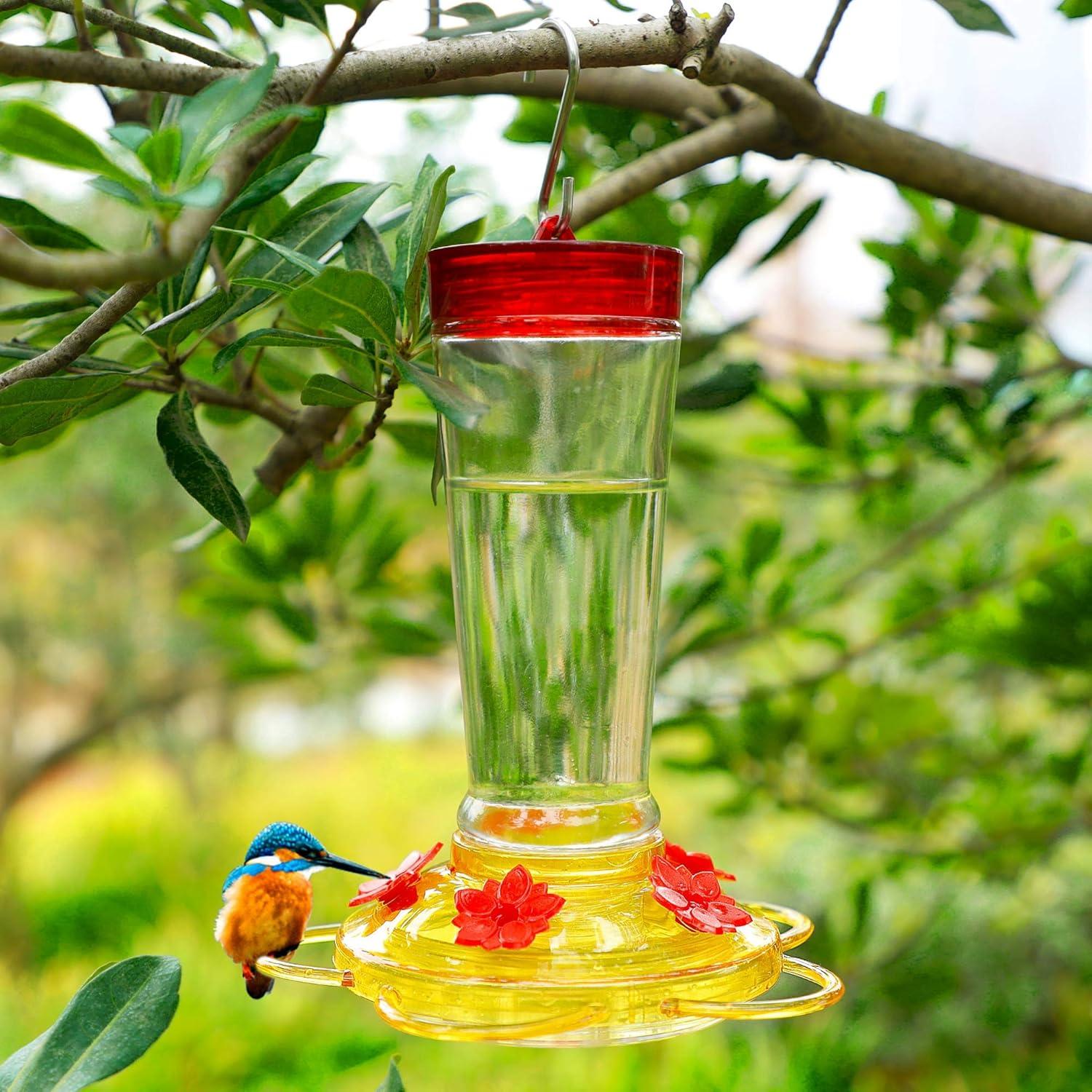 Alimentador de Colibrí Joliyoou 0.3L Vidrio y Plástico