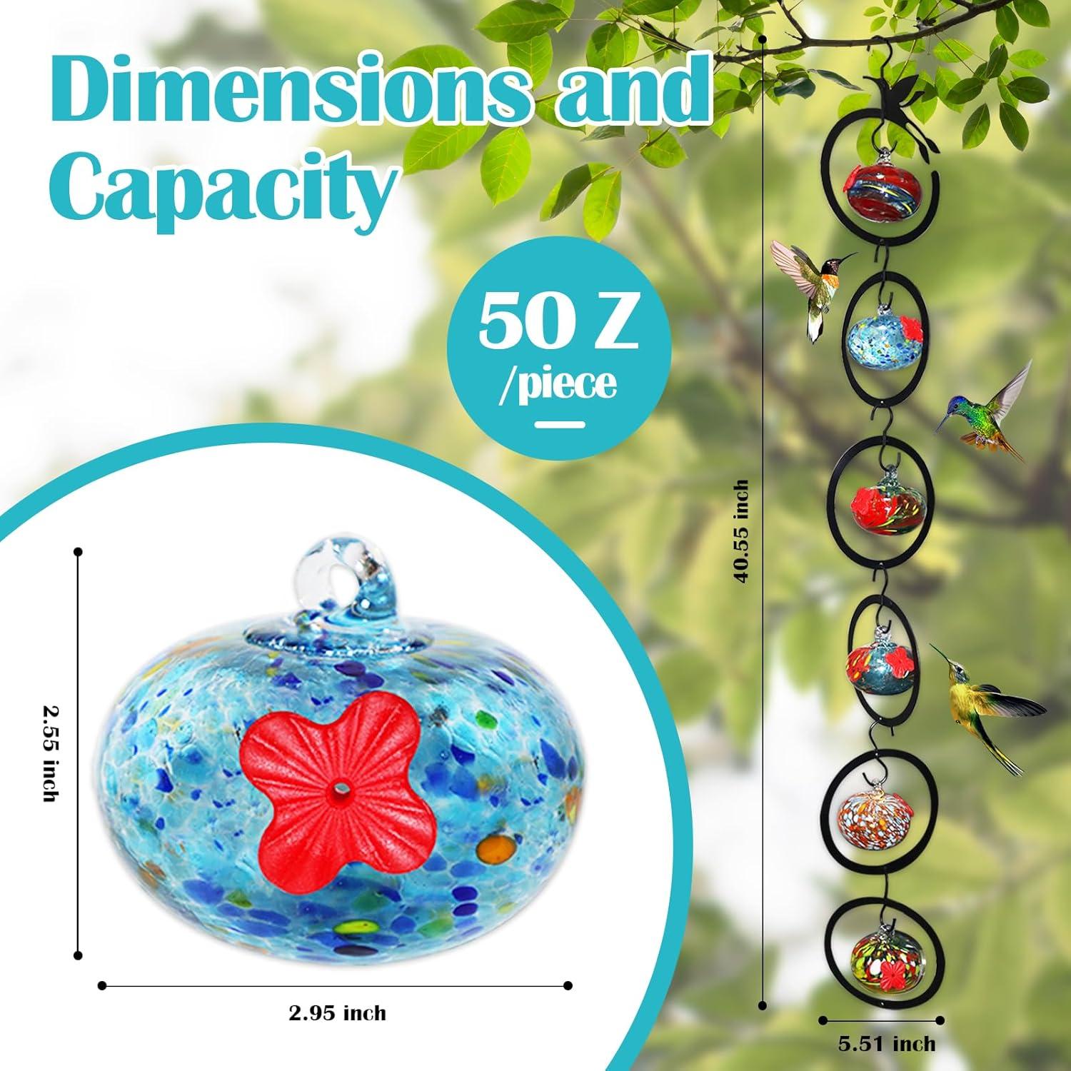 Alimentador de Colibríes de Vidrio Ruiyi Tim 6 PCS 150g