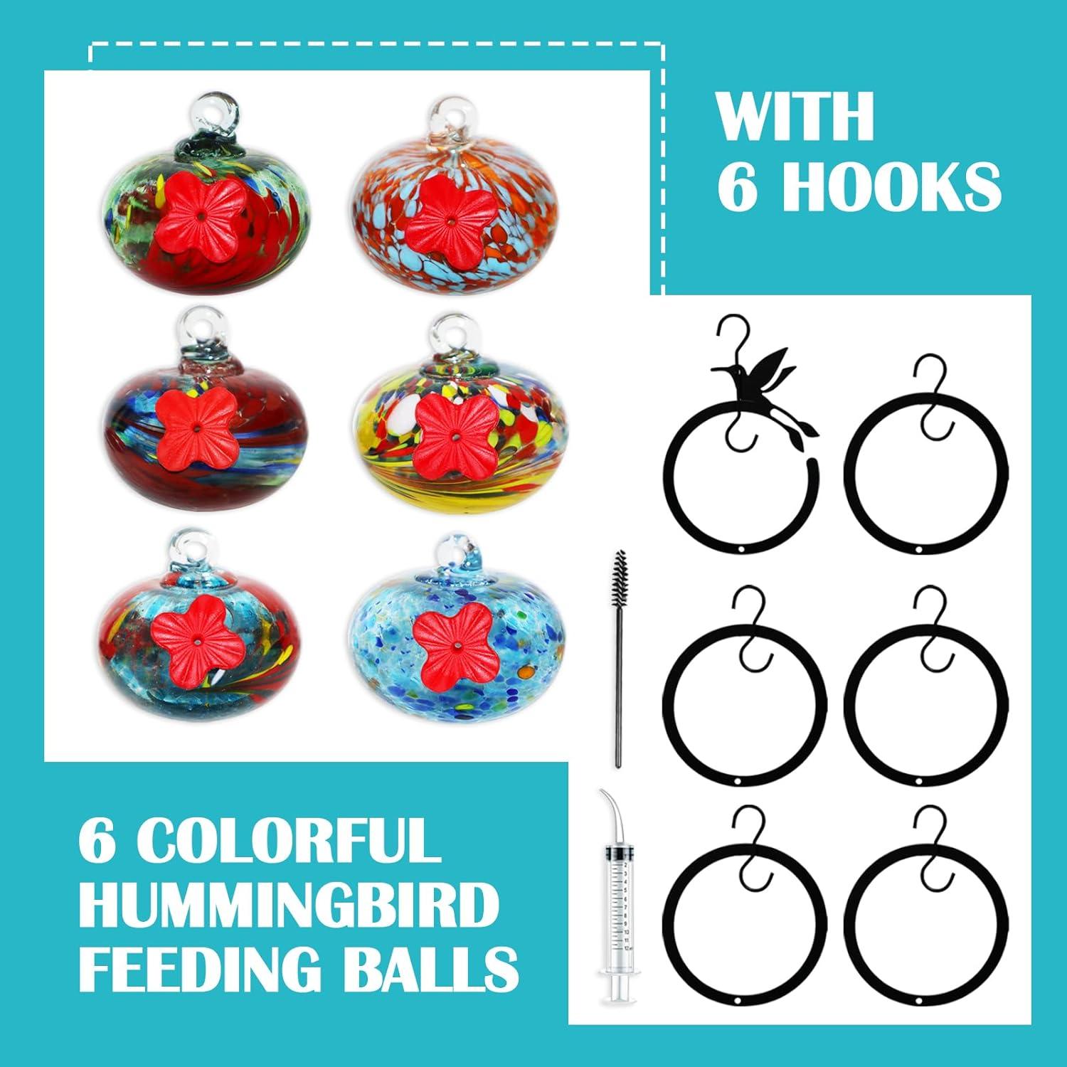 Alimentador de Colibríes de Vidrio Ruiyi Tim 6 PCS 150g