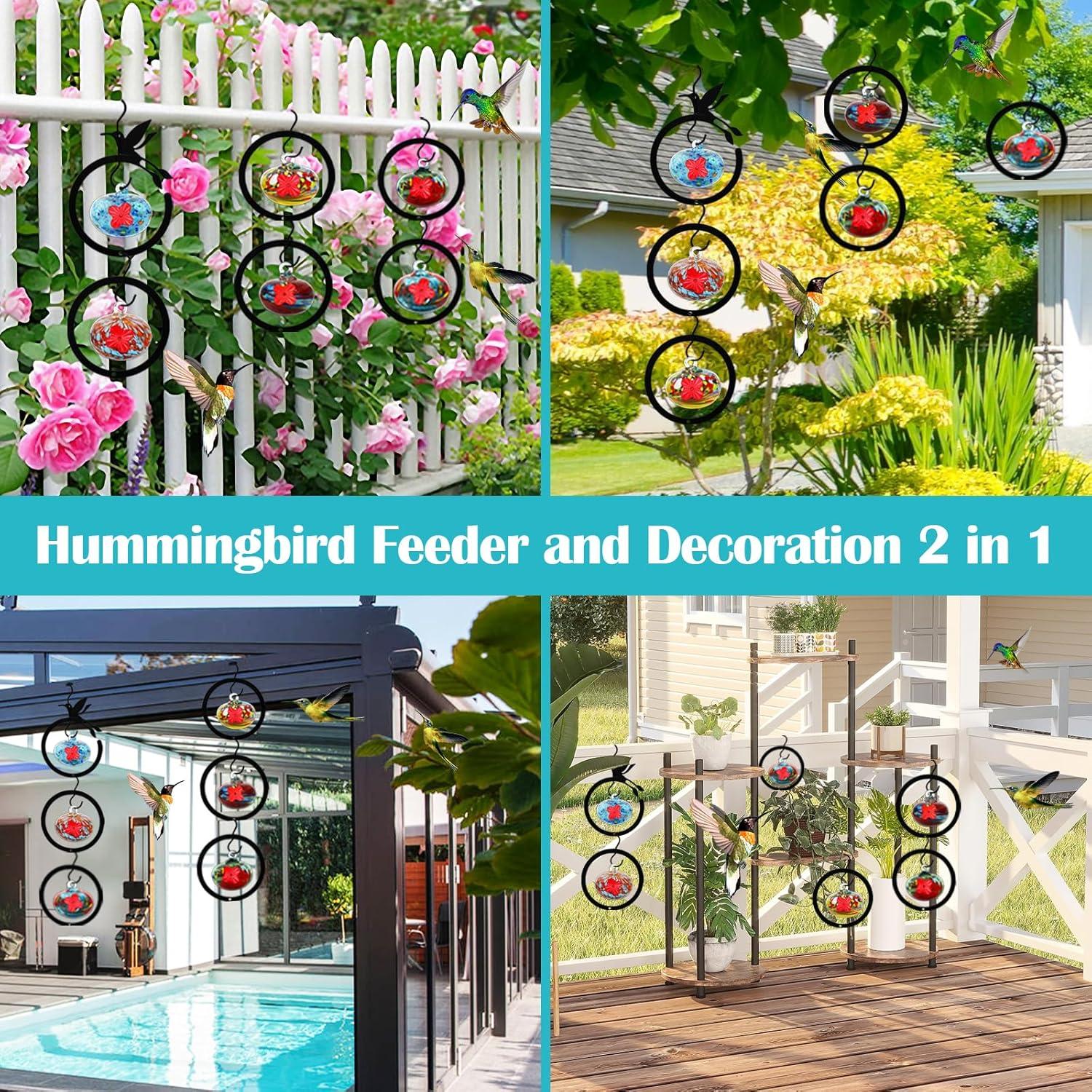 Alimentador de Colibríes de Vidrio Ruiyi Tim 6 PCS 150g