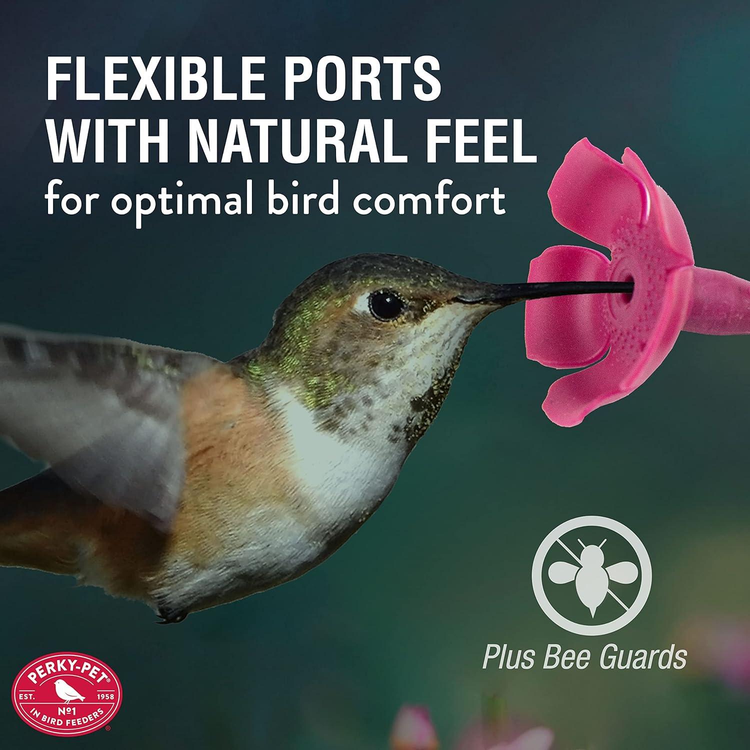 Alimentador de colibríes Perky-Pet 9102-1SR vidrio 710 ml