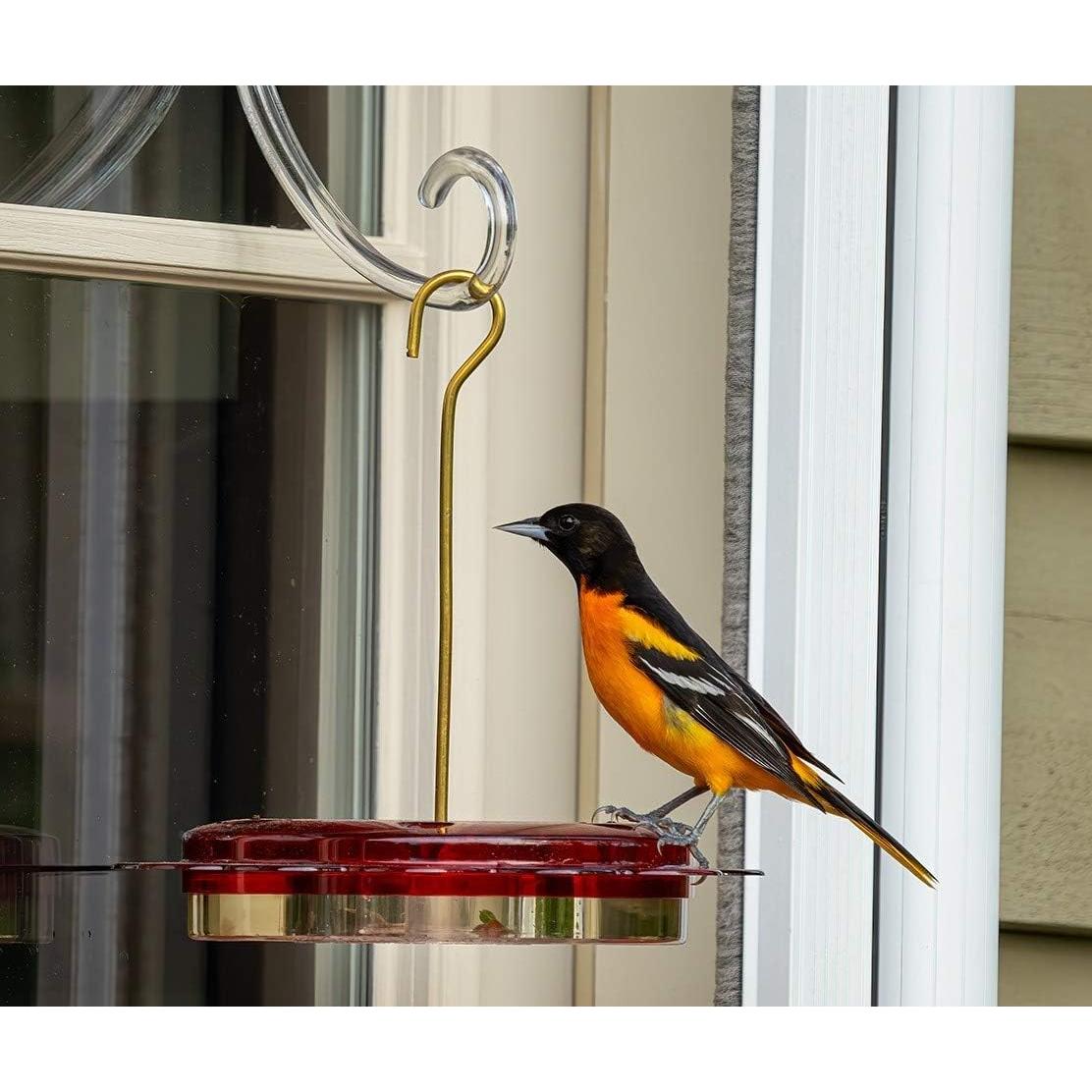 Alimentador de Colibríes Birds Choice Hummerfest 354ml