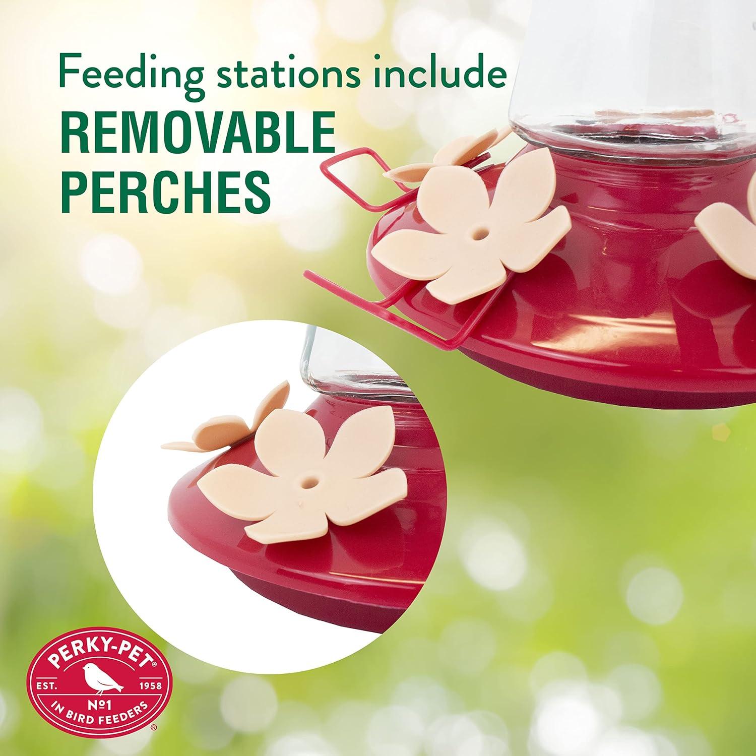 Alimentador de Colibríes Perky-Pet 9201-1SR Vidrio 355 ml Rosa