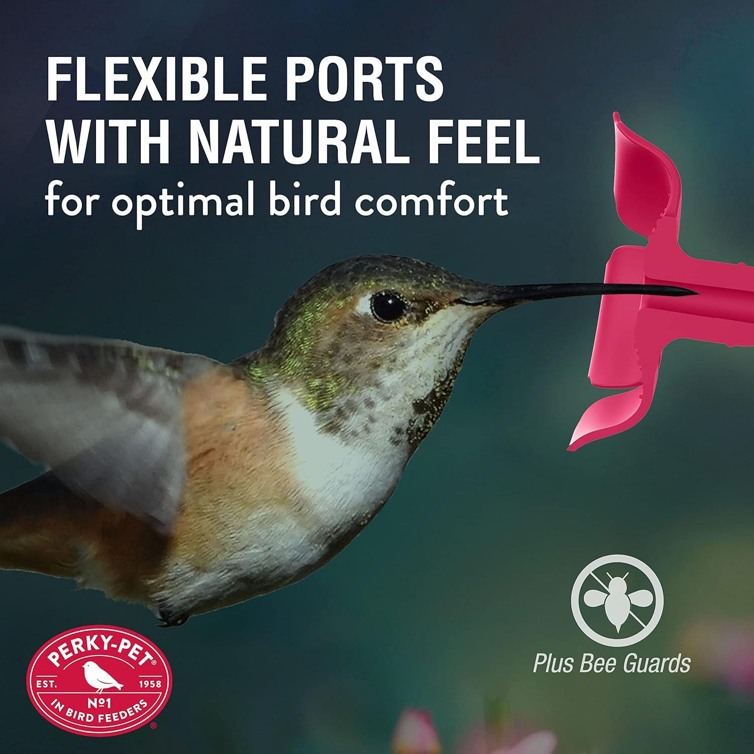 Alimentador de Colibríes Perky-Pet 9201-1SR Vidrio 355 ml Rosa