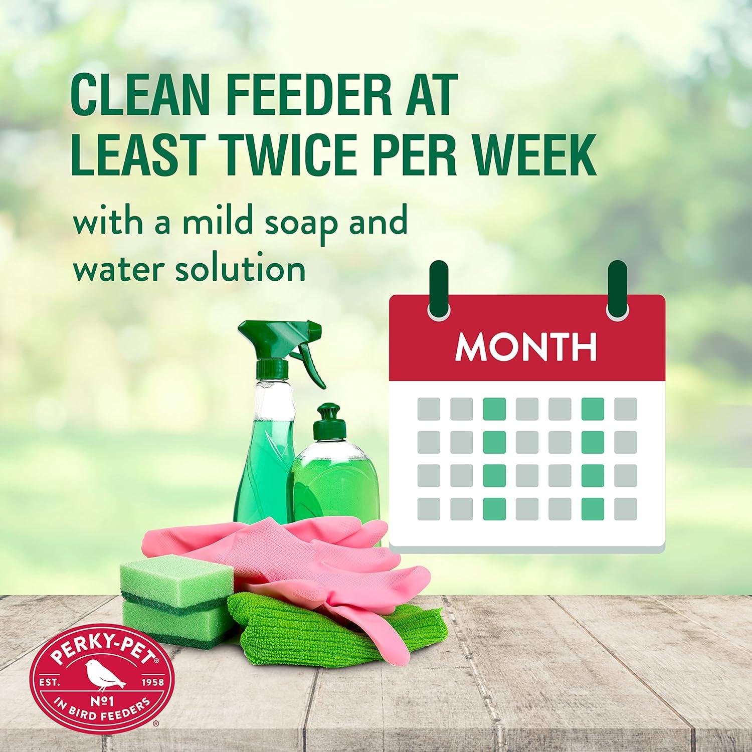 Alimentador de Colibríes Perky-Pet 9201-1SR Vidrio 355 ml Rosa