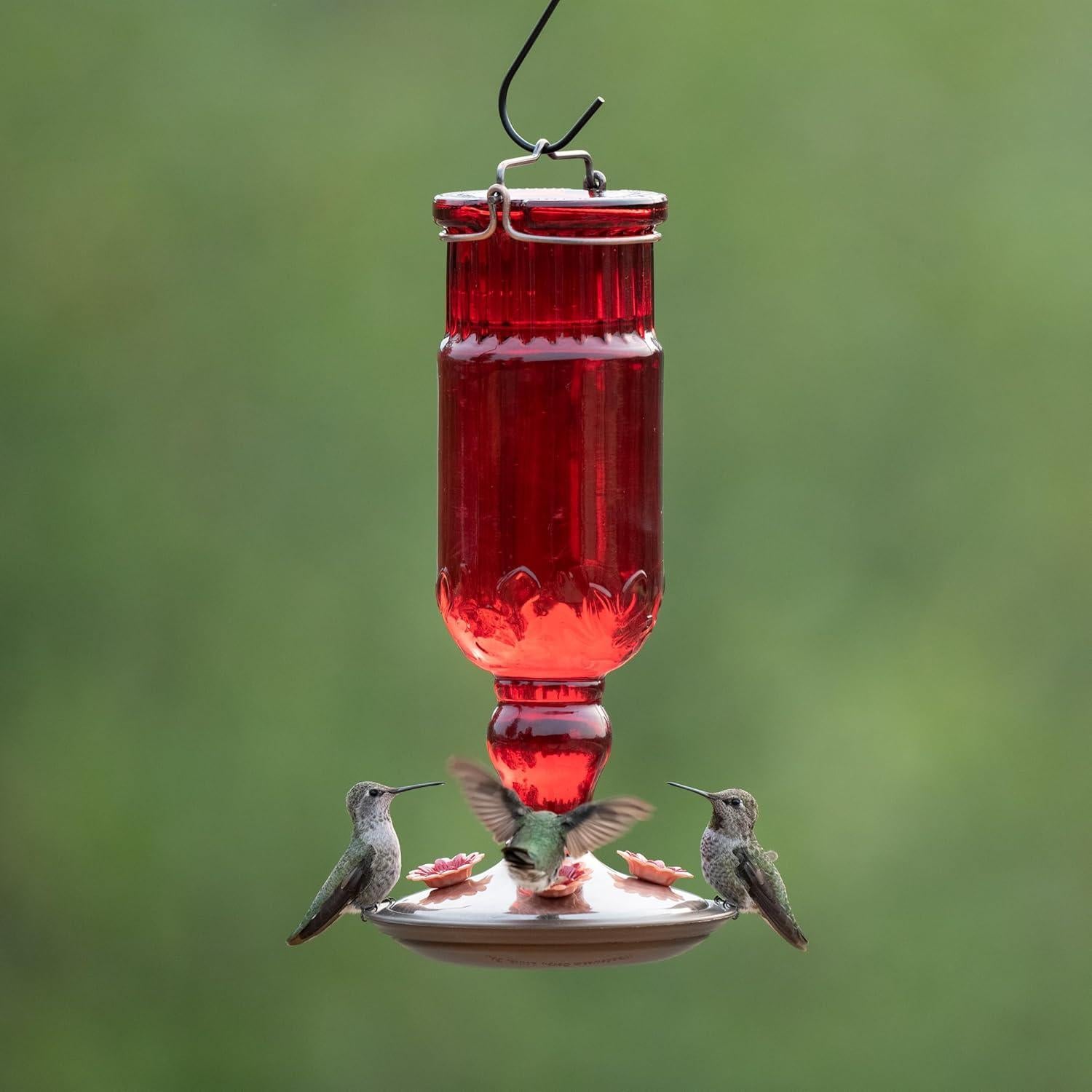 Alimentador de Colibríes Perky-Pet Botella Antigua Roja 710 ml