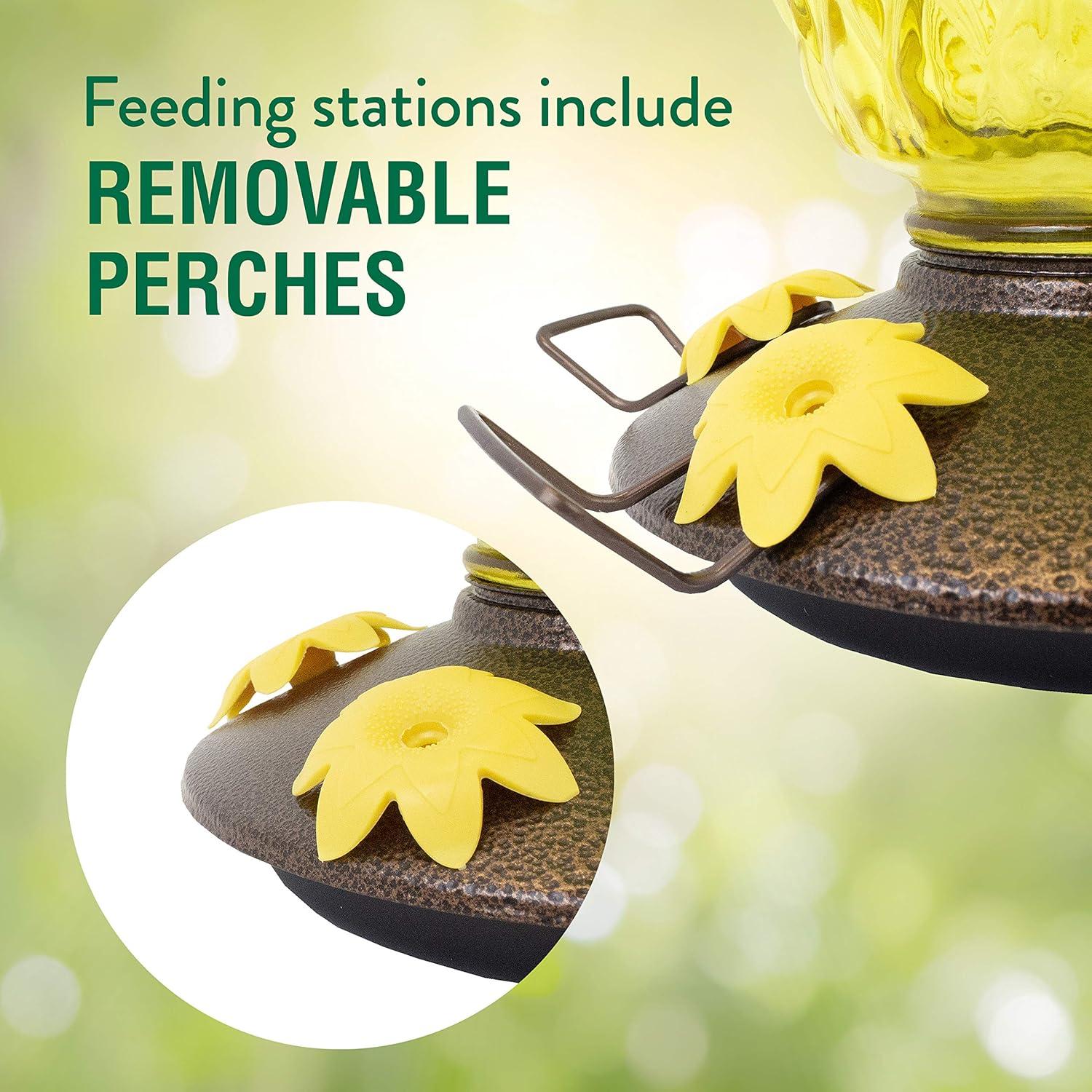 Alimentador de Colibríes Perky-Pet 9110-2 Vidrio 880 ml Piña