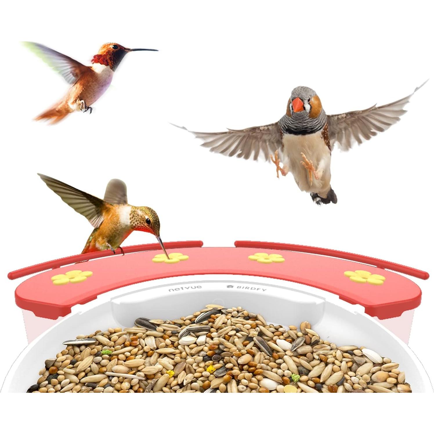 Alimentador de Colibrí NETVUE 518 ml, Fácil Relleno y Limpieza