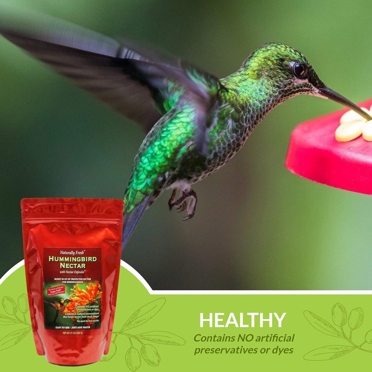 Néctar para Colibríes Naturally Fresh 2.84L con Nectar Defender