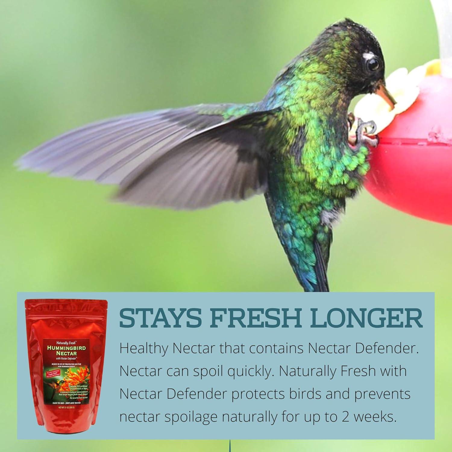 Néctar para Colibríes Naturally Fresh 2.84L con Nectar Defender