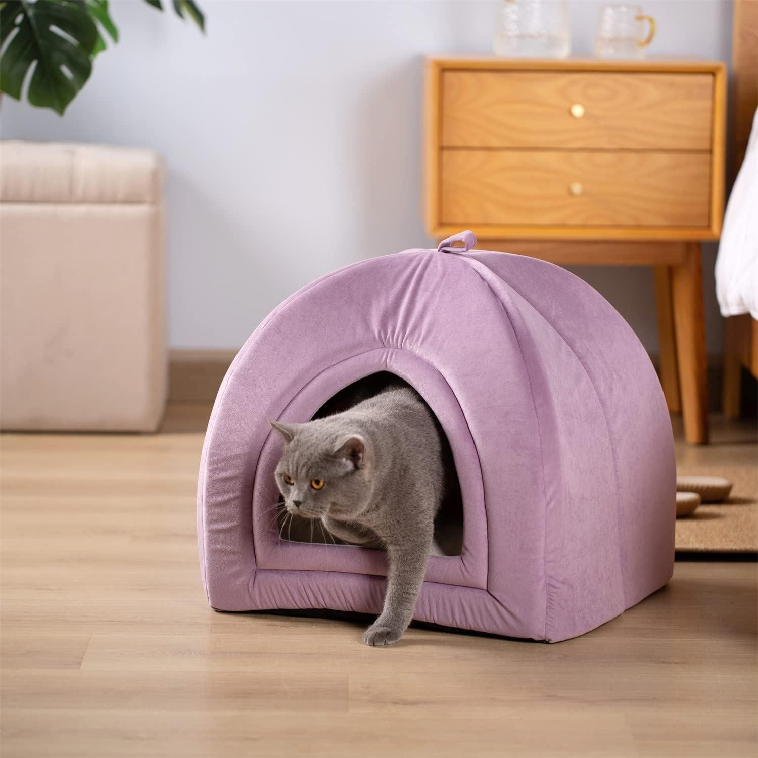 Cama para Gatos KASENTEX 48.3x48.3 cm Púrpura Acolchada