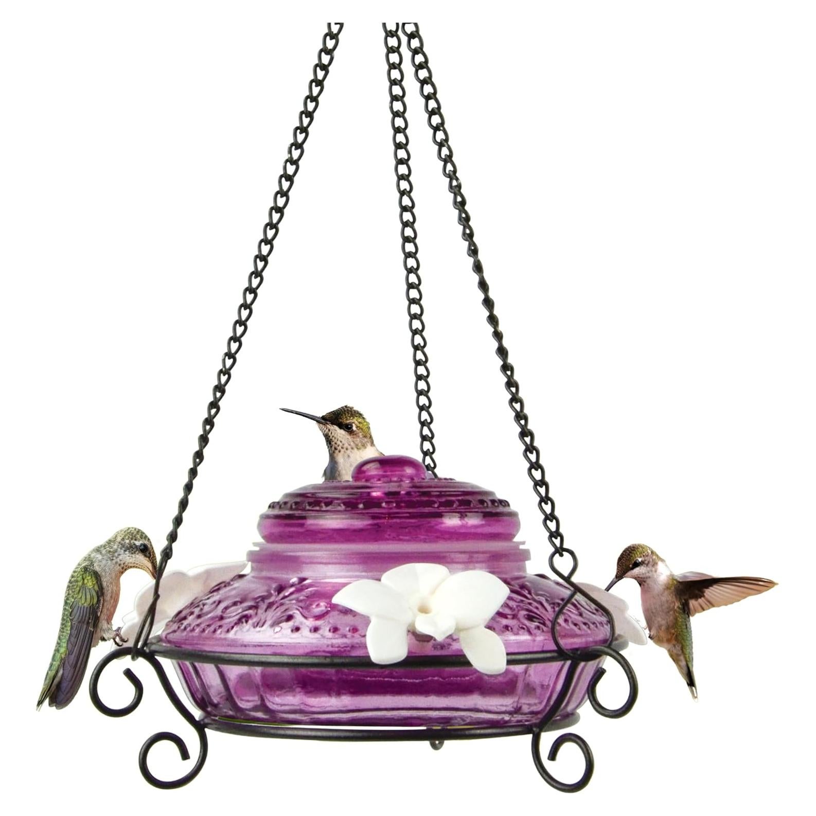 Alimentador de Colibríes de Vidrio Antiguo Nature's Way ANTHF1 414ml