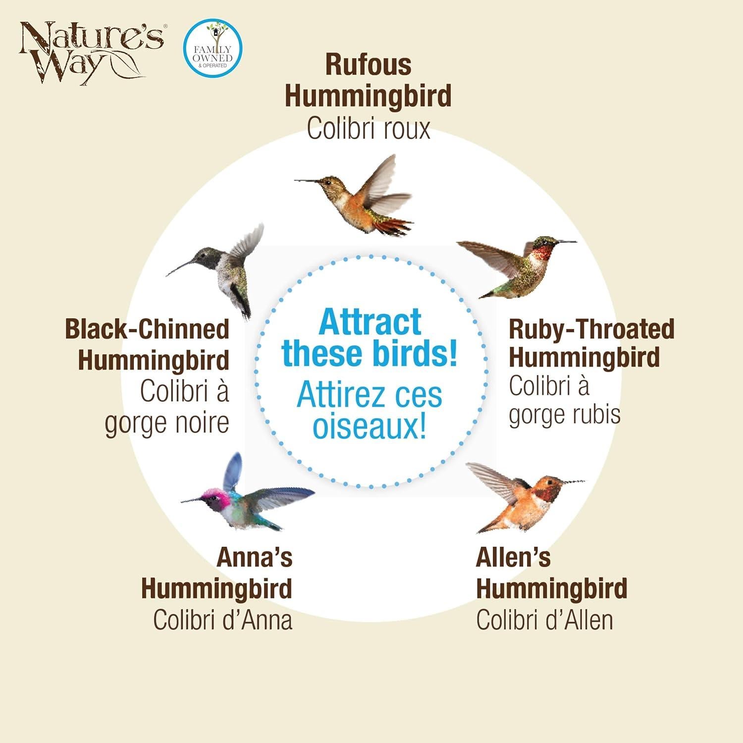 Alimentador de colibríes de vidrio Nature's Way Ramo de Gardenia