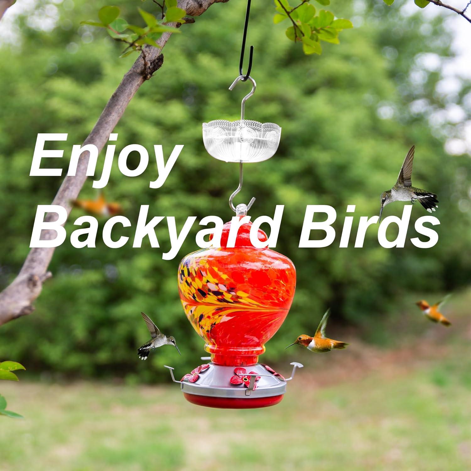 Moat Ant para Alimentadores de Colibríes Knowone 177ml Transparente